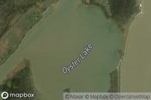 Oyster Lake