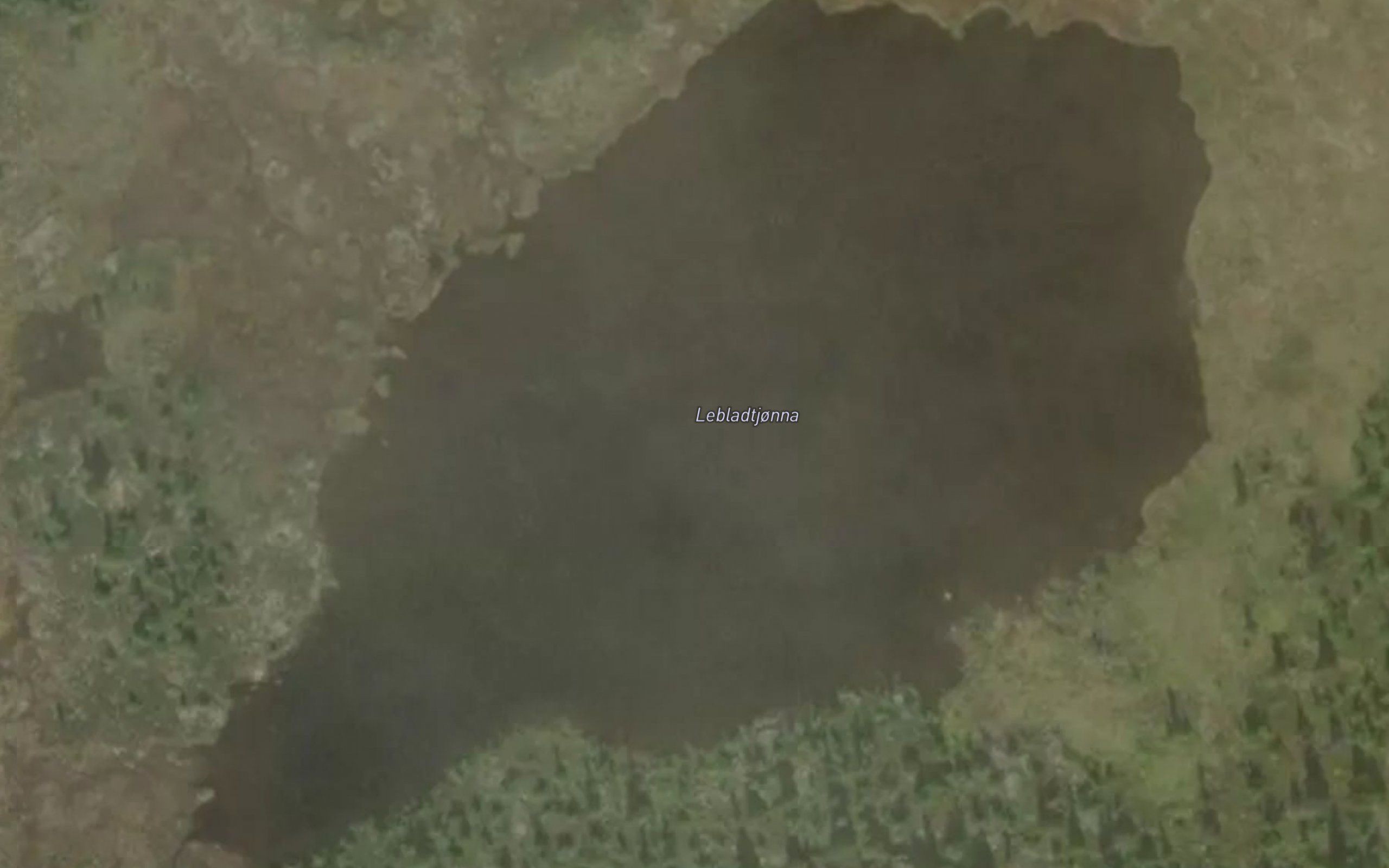 Lebladtjorna