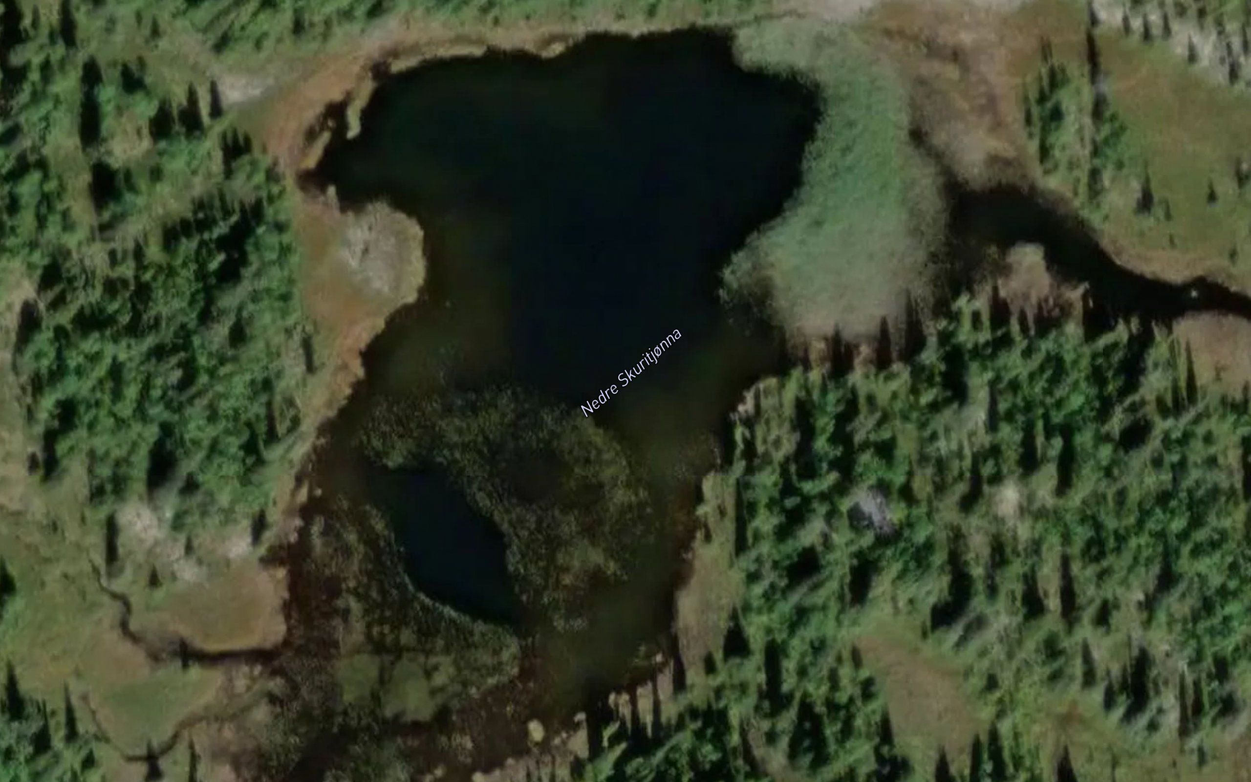 Nedre Skuritjonna
