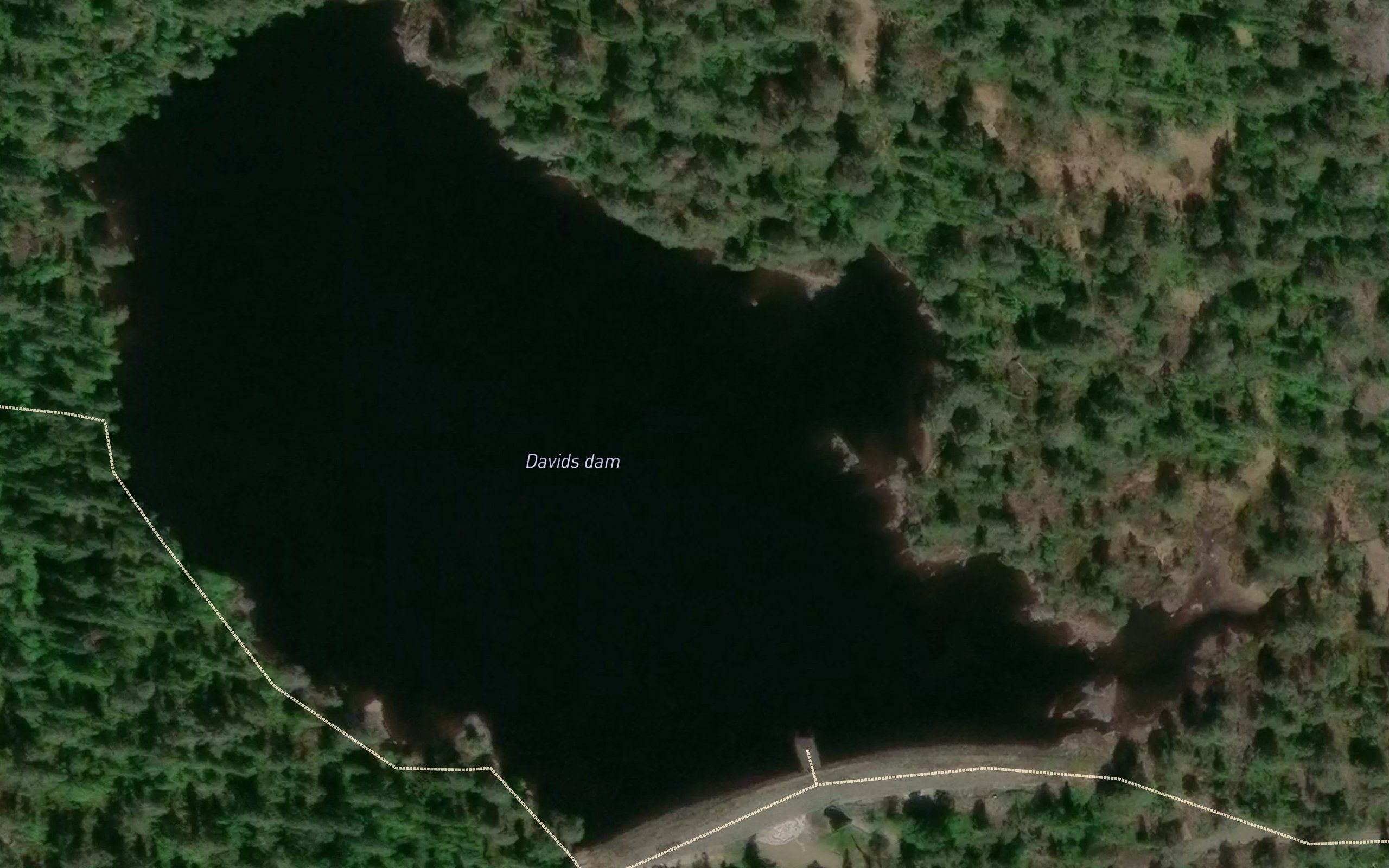 Davids dam