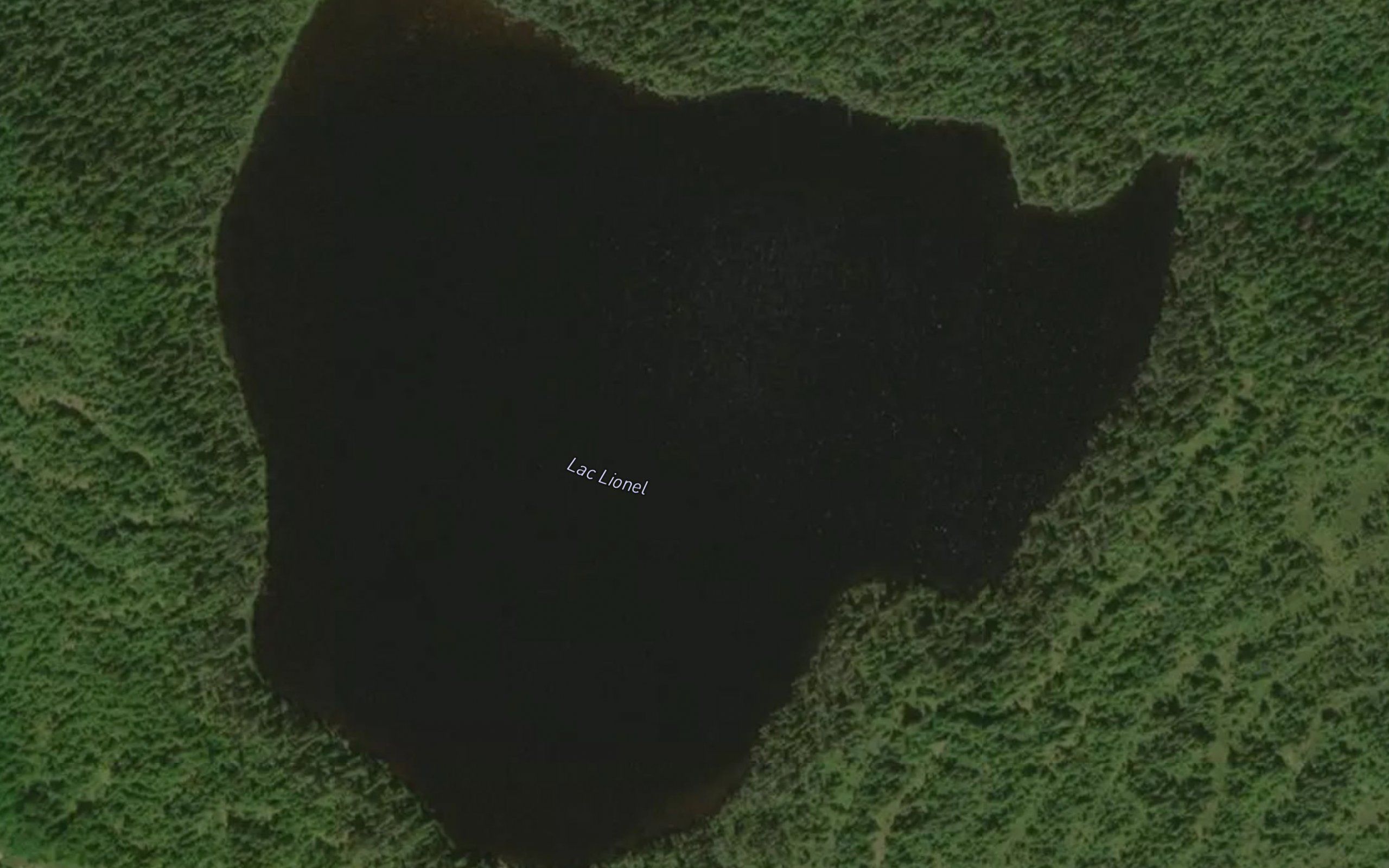 Lac Lionel