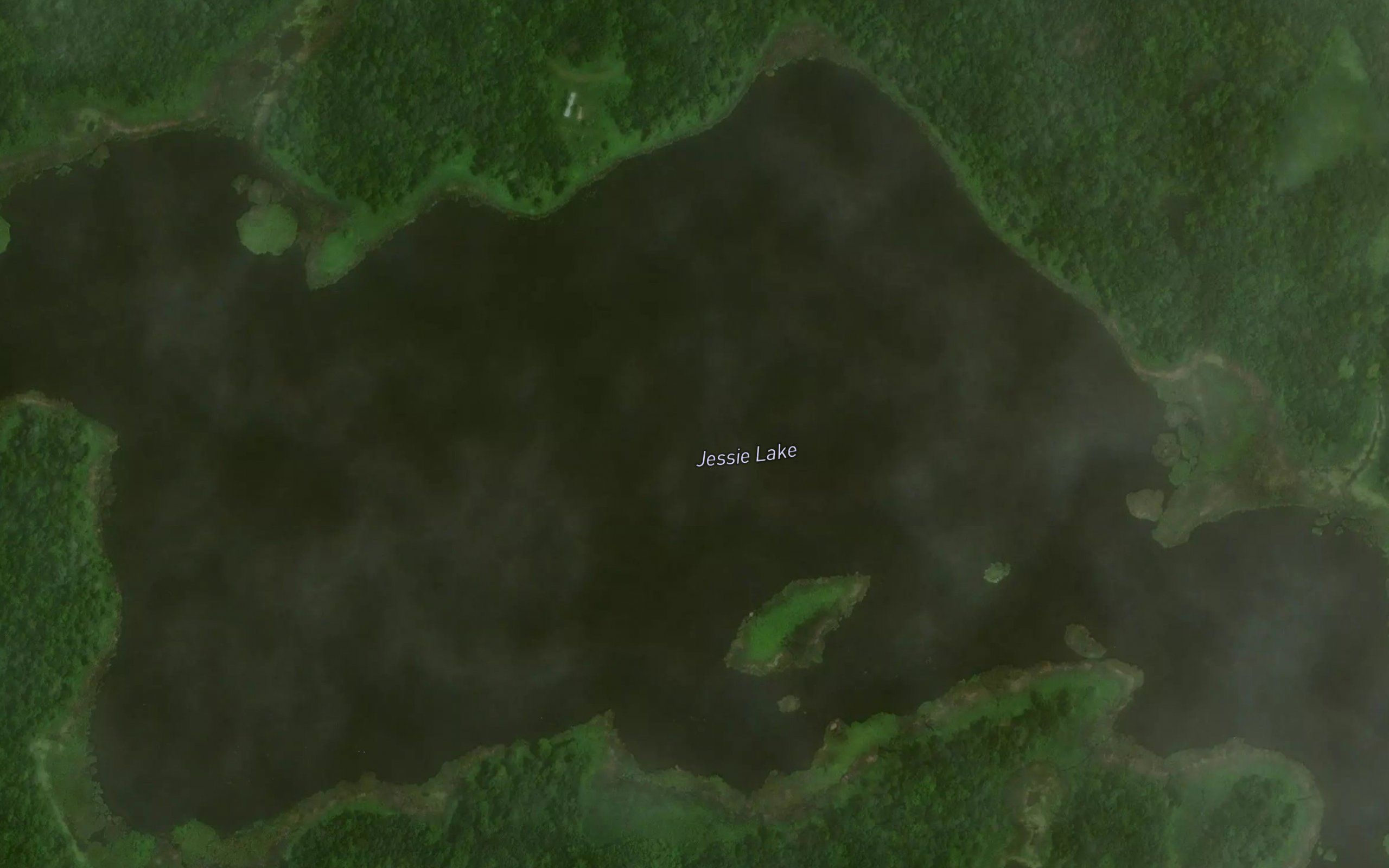 Jessie Lake