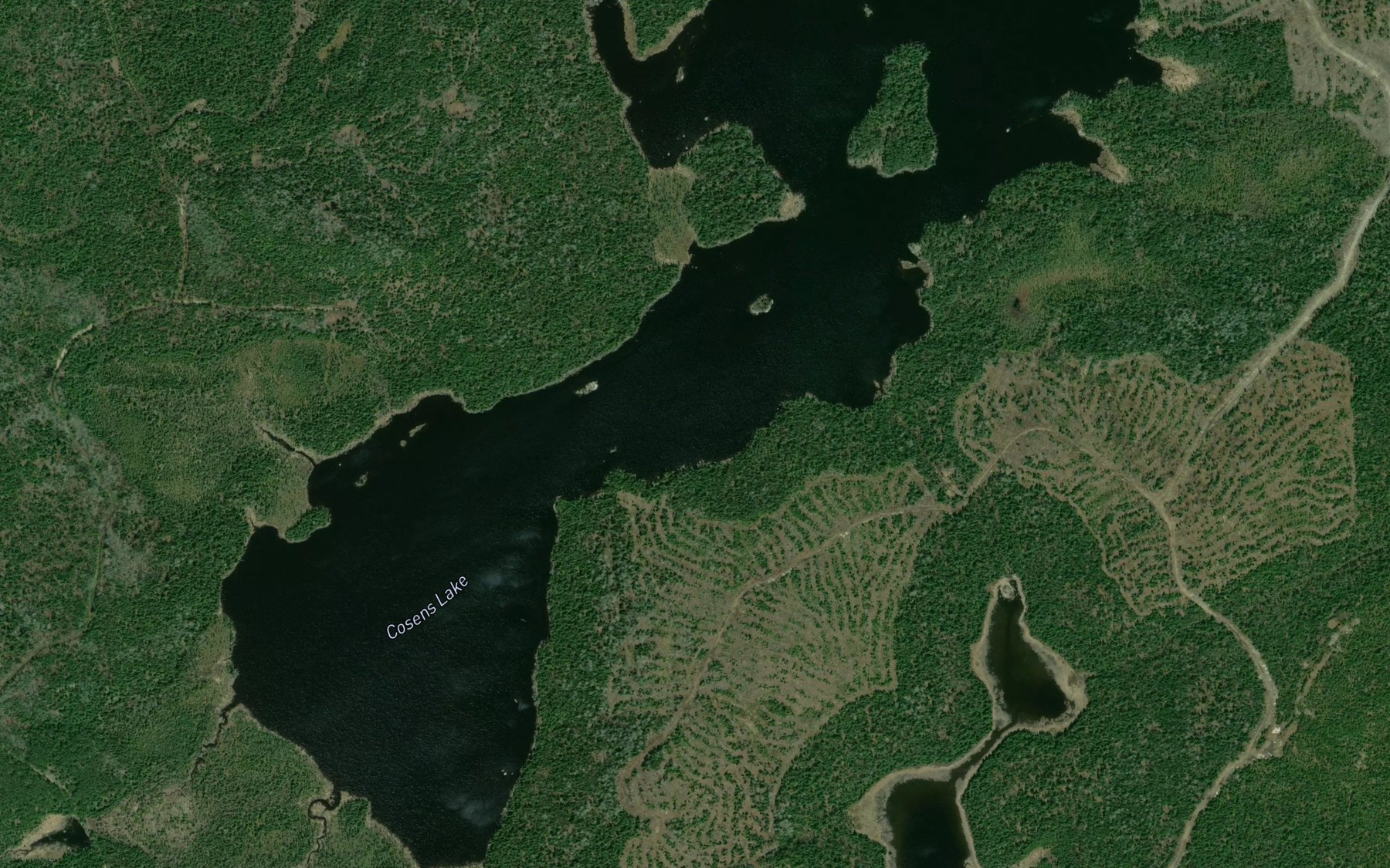 Satellite map of the Cosens Lake