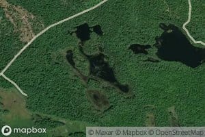 Bennett Lake