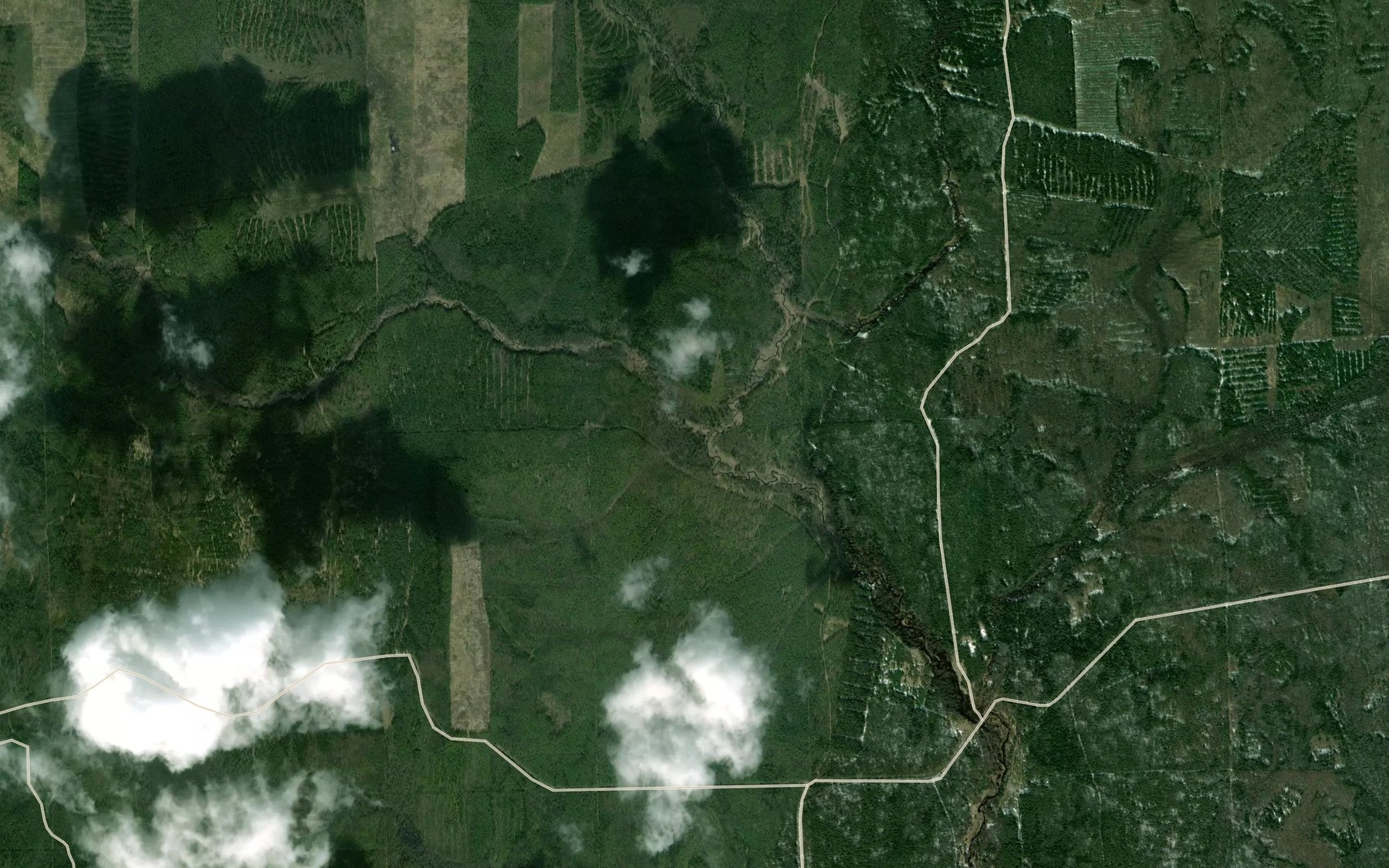 Satellite map of the Yelnat'