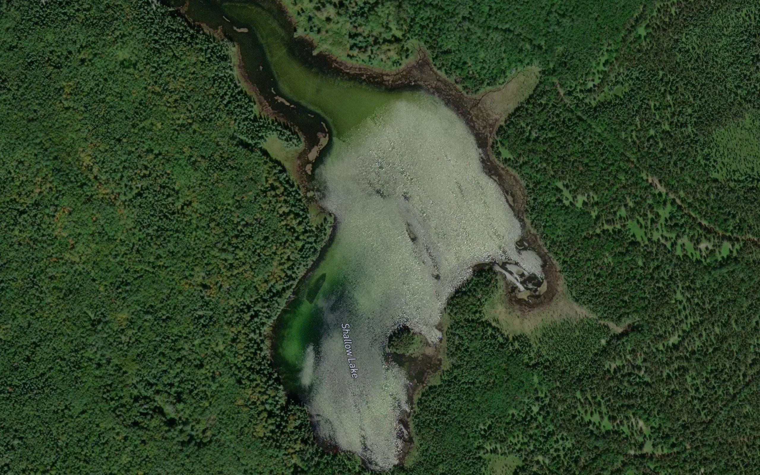 Shallow Lake