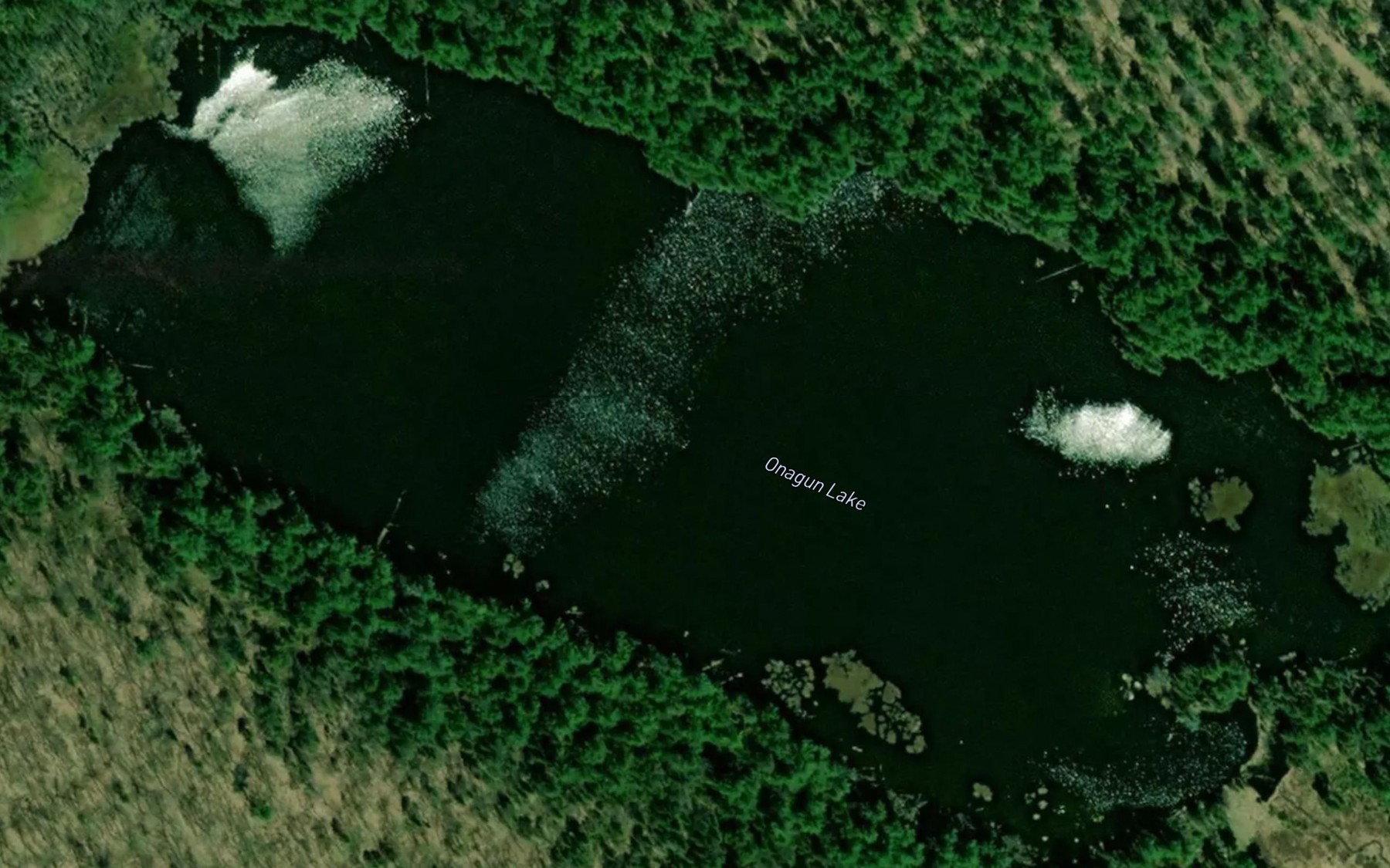 Satellite map of the Onagun Lake