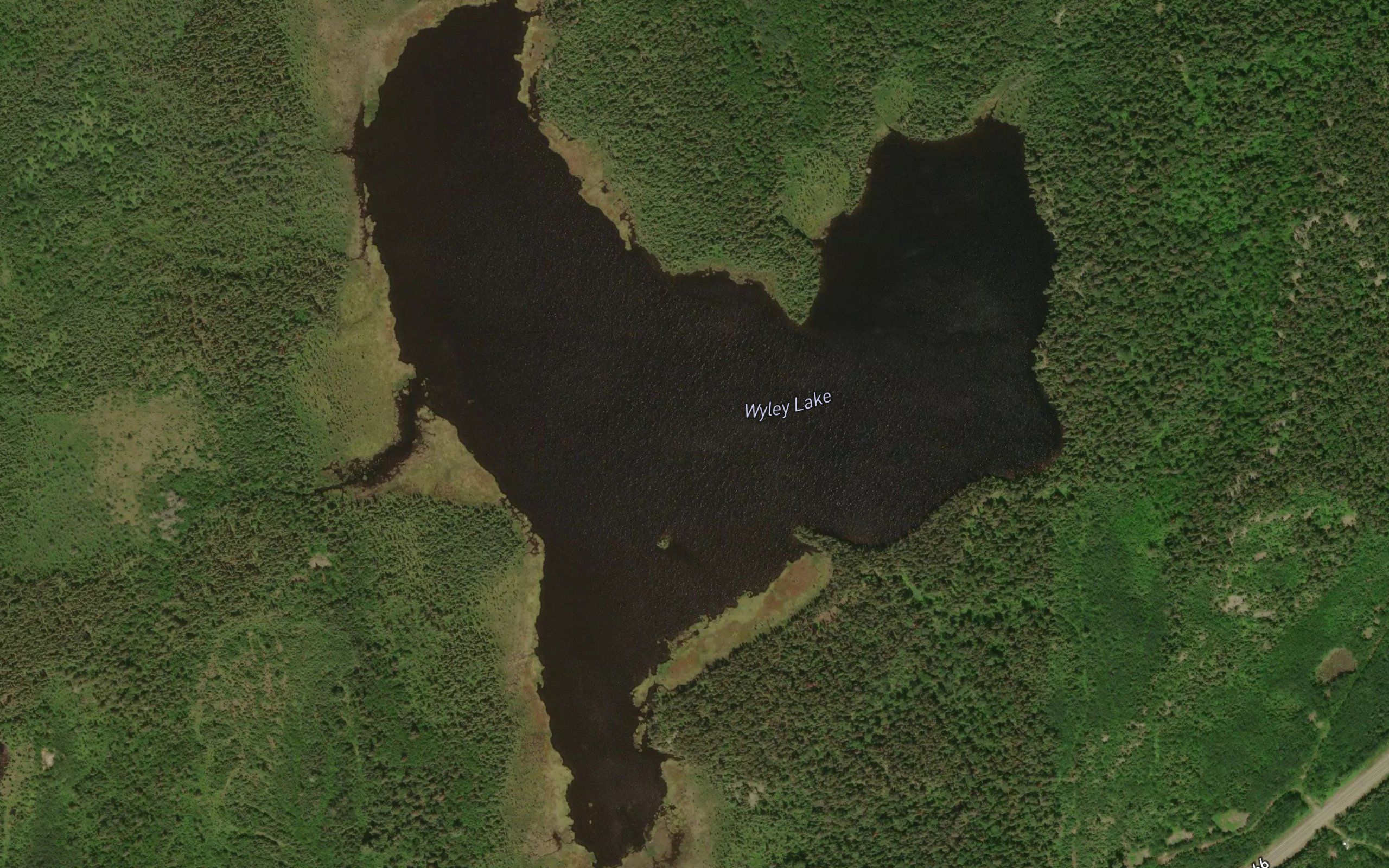 Wyley Lake