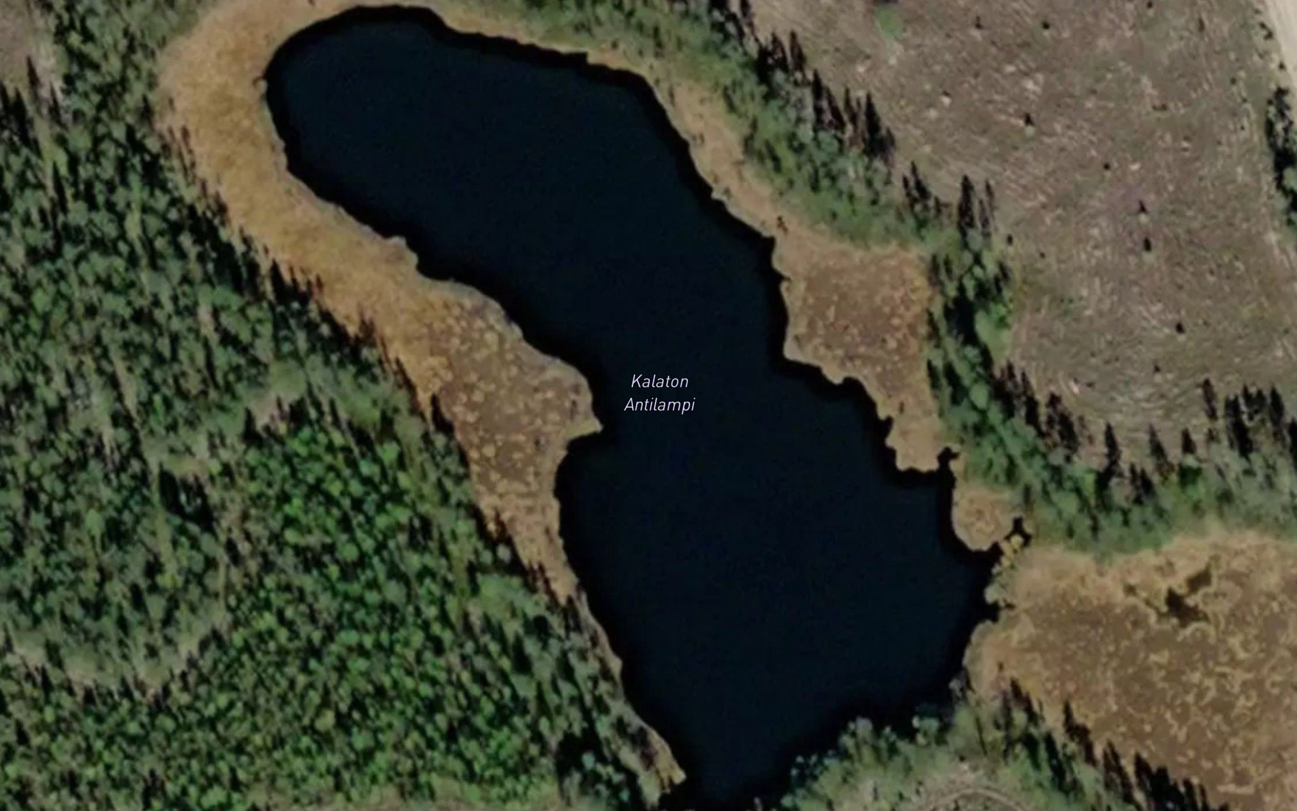 Kalaton Antinlampi