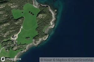 Krongelvika