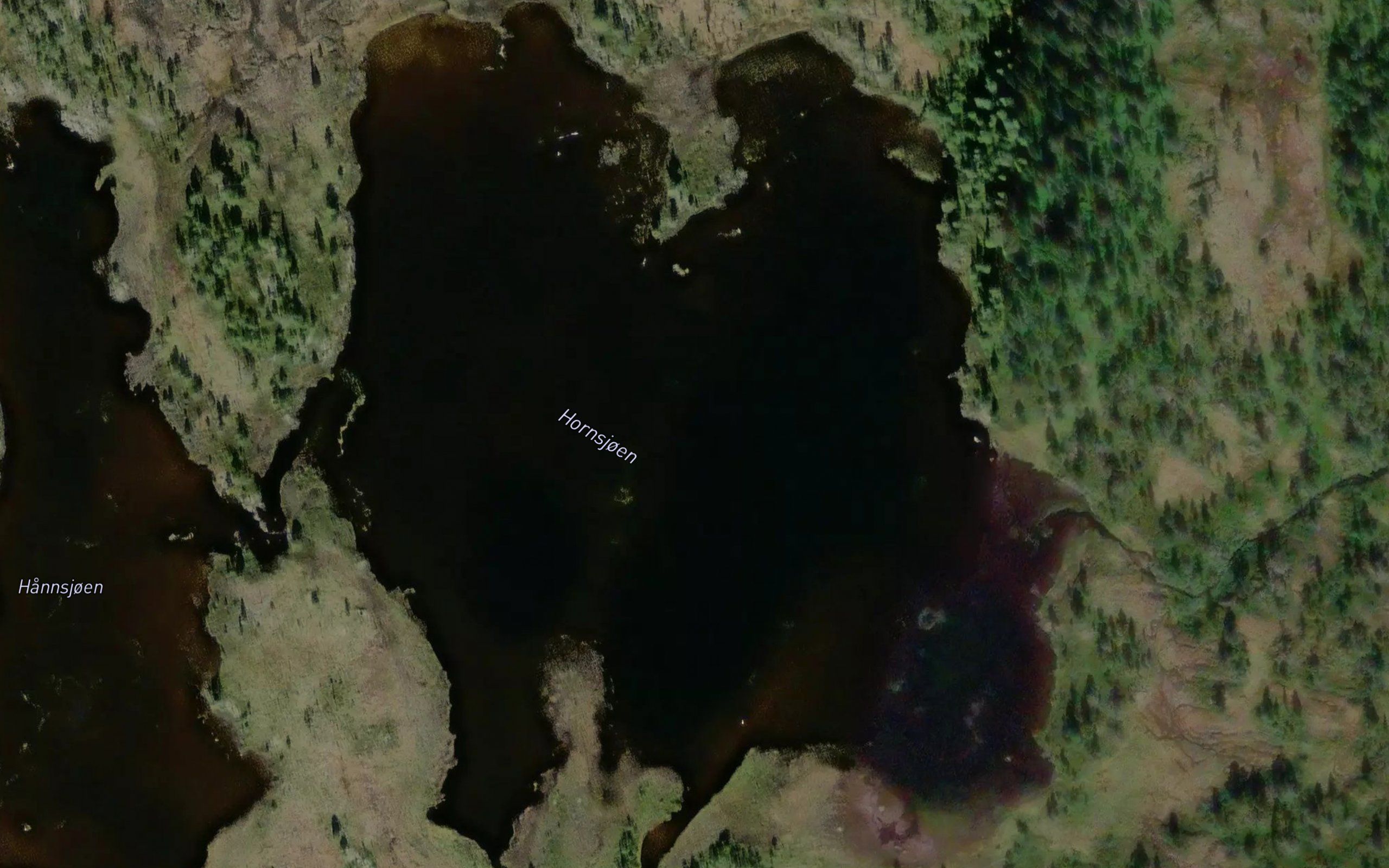 Hornsjoen