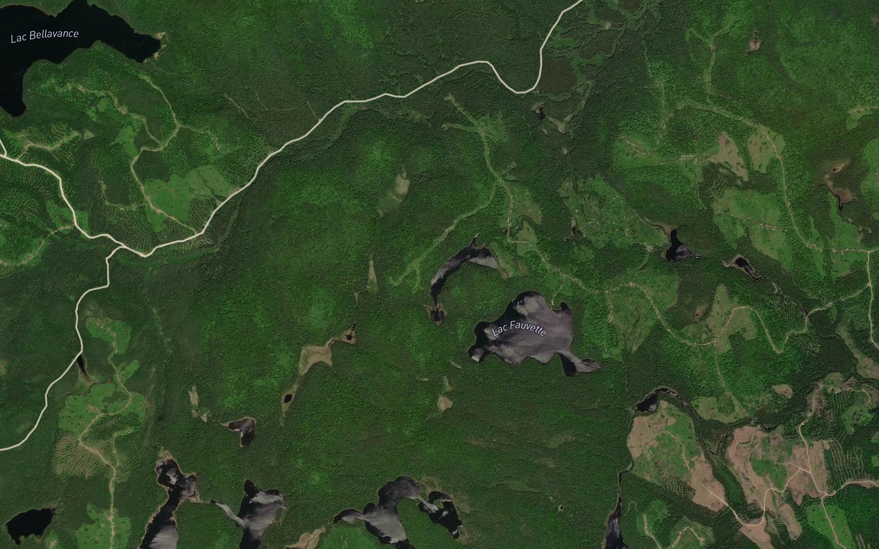 Satellite map of the Lac de la Penombre