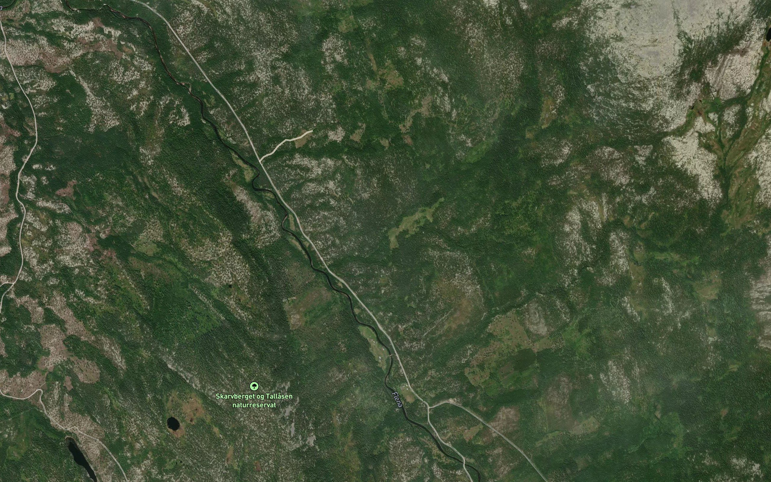 Bekkedalsbekken