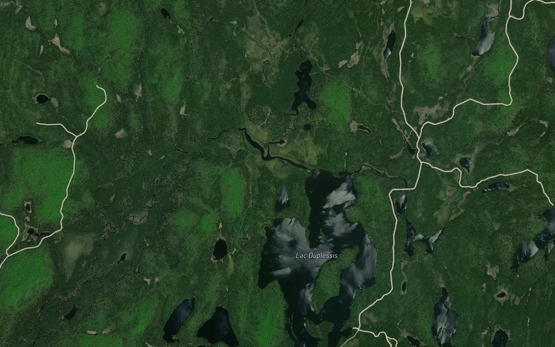 Satellite map of the Crique Marlie