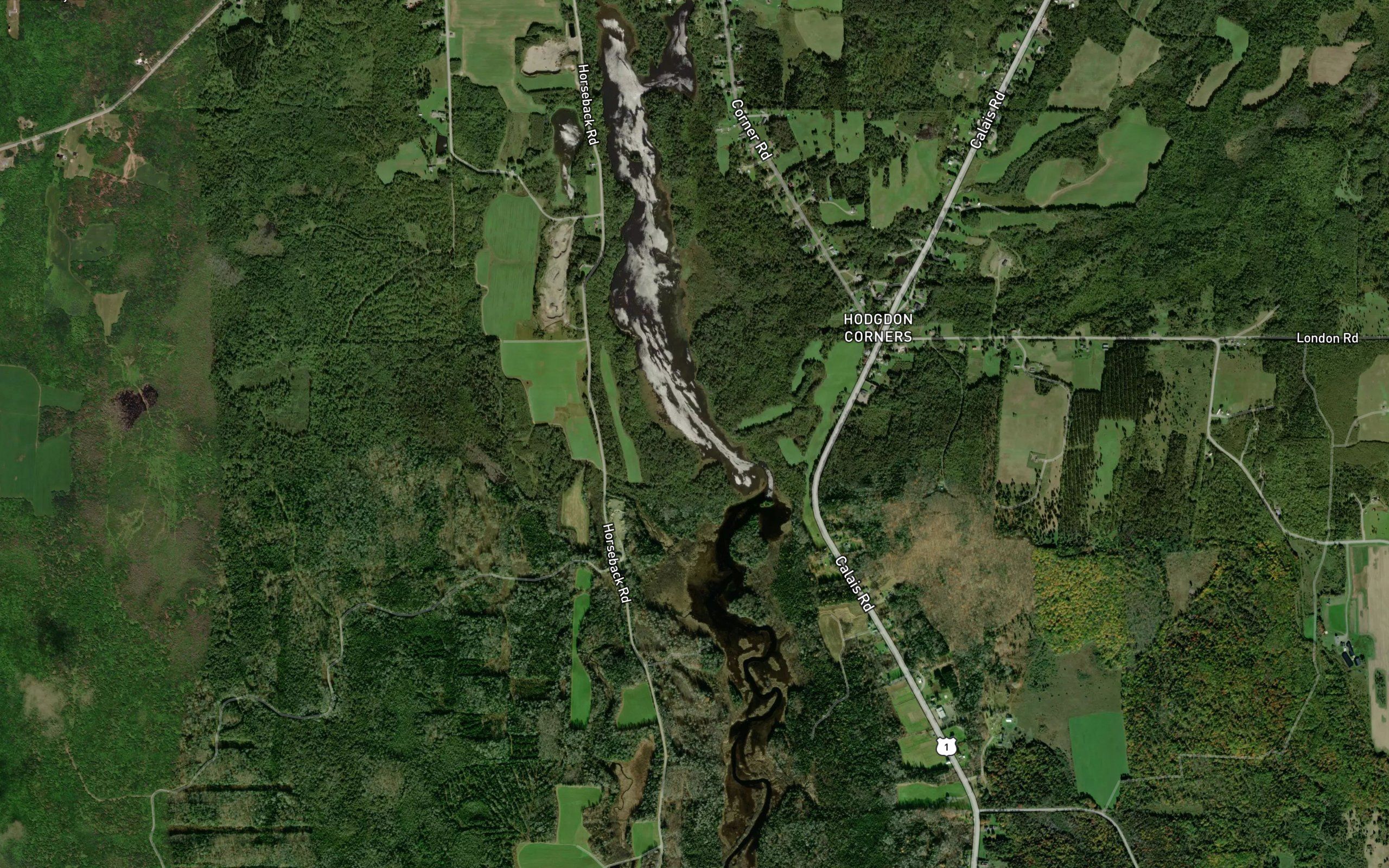 Stewart Brook
