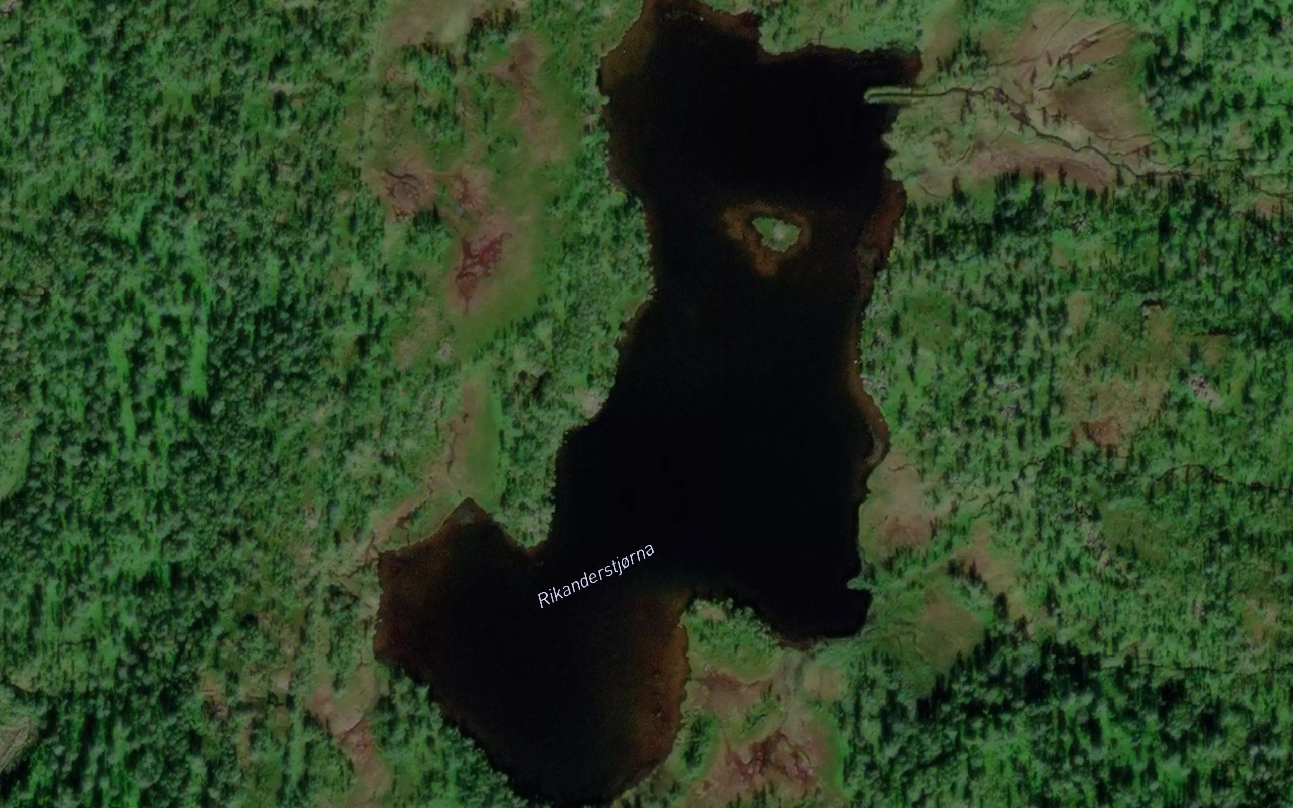Rikanderstjorna