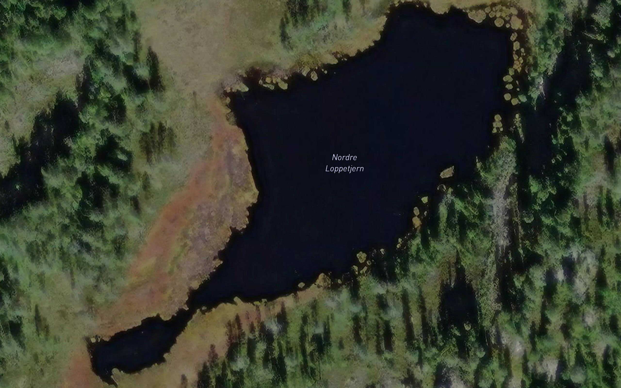 Nordre Loppetjern