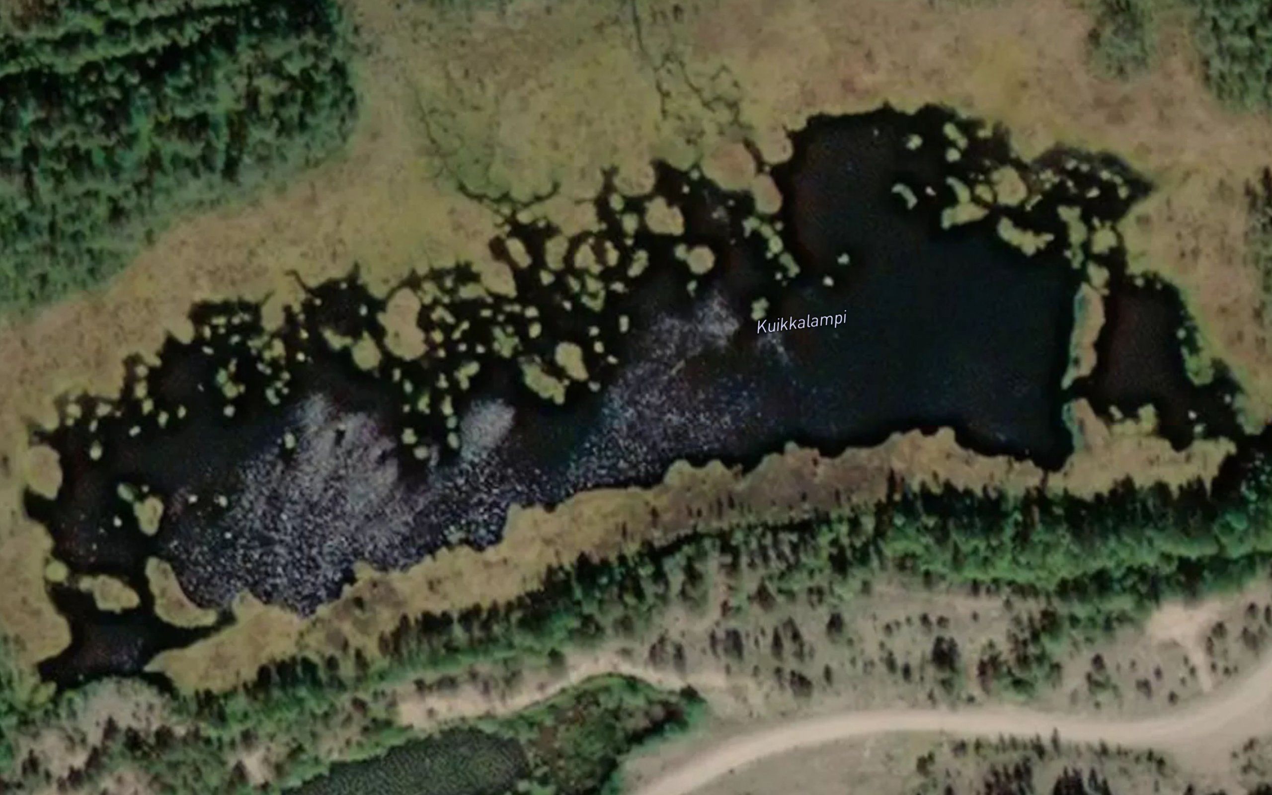 Kuikkalampi