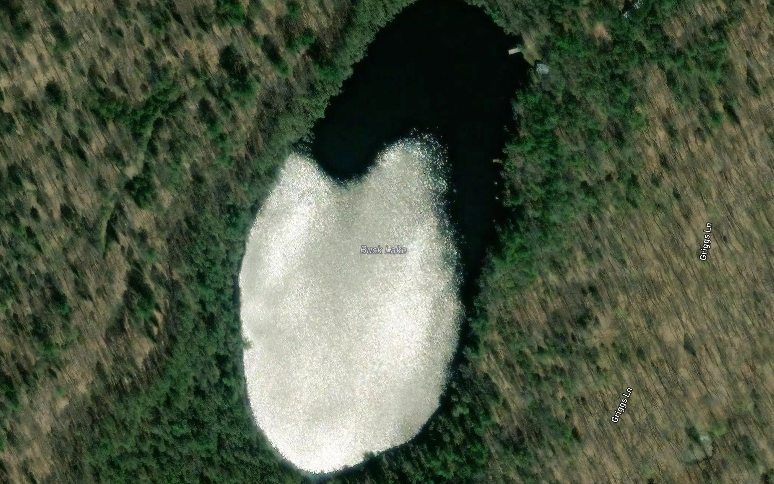 Buck Lake