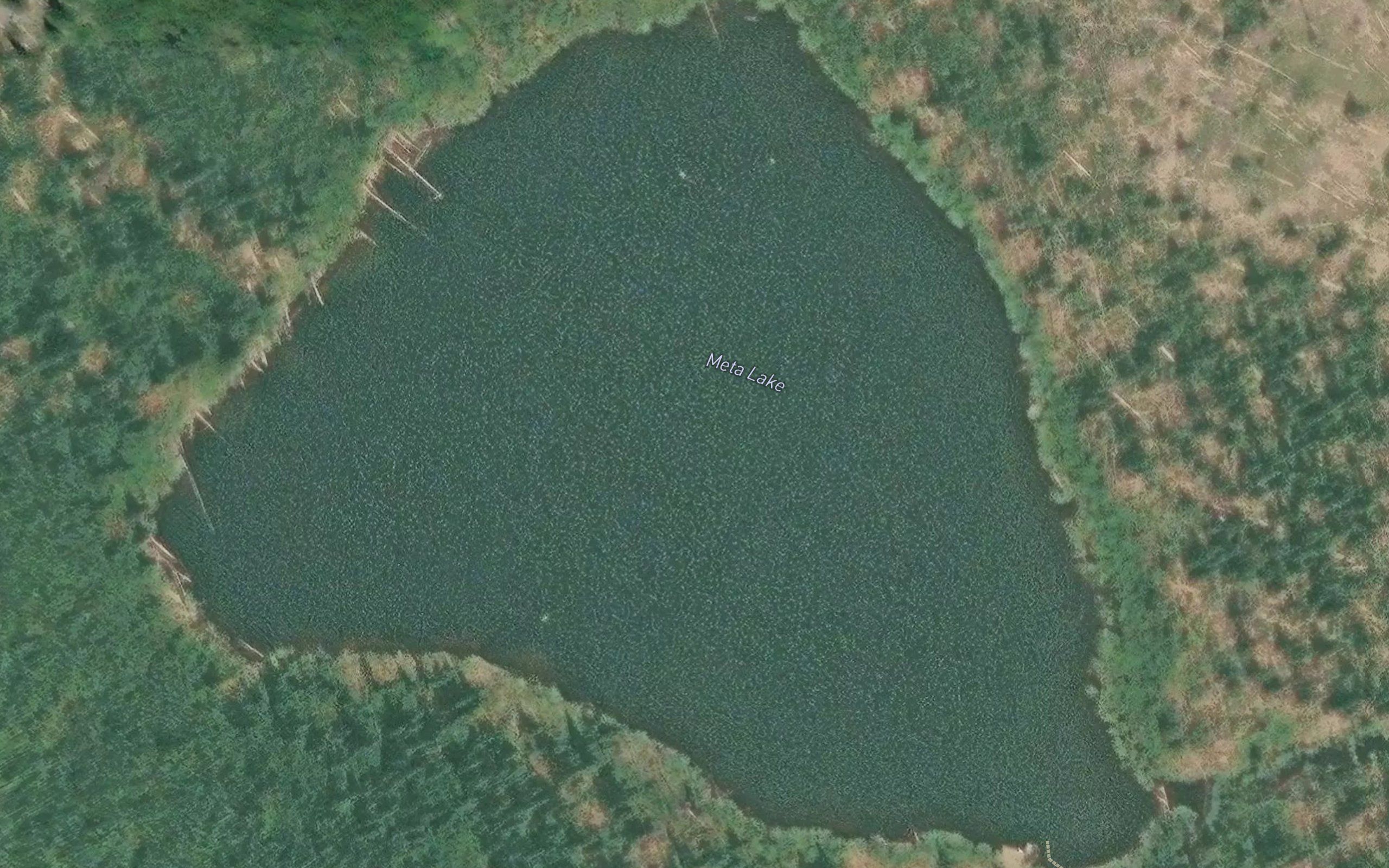 Meta Lake
