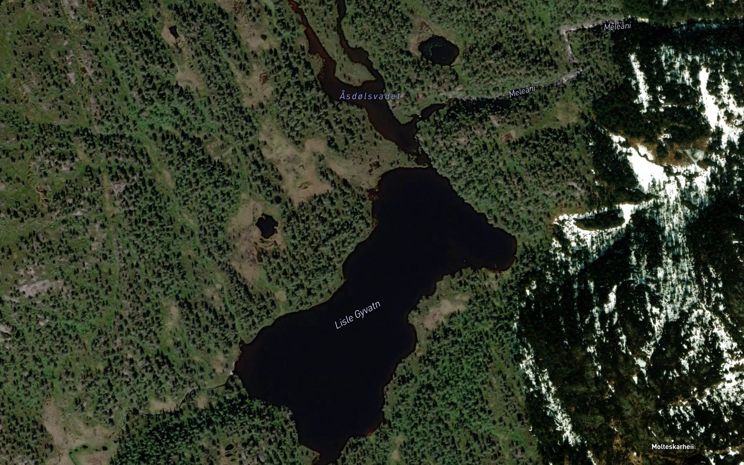 Gyvatn,l