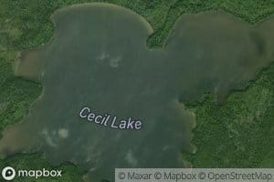 Cecil Lake