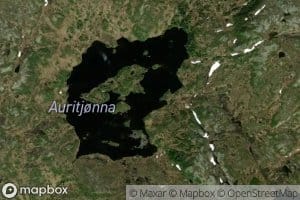 Auritjonna