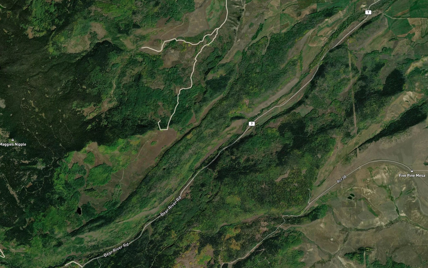 Satellite map of the Roaring Fork Ditch