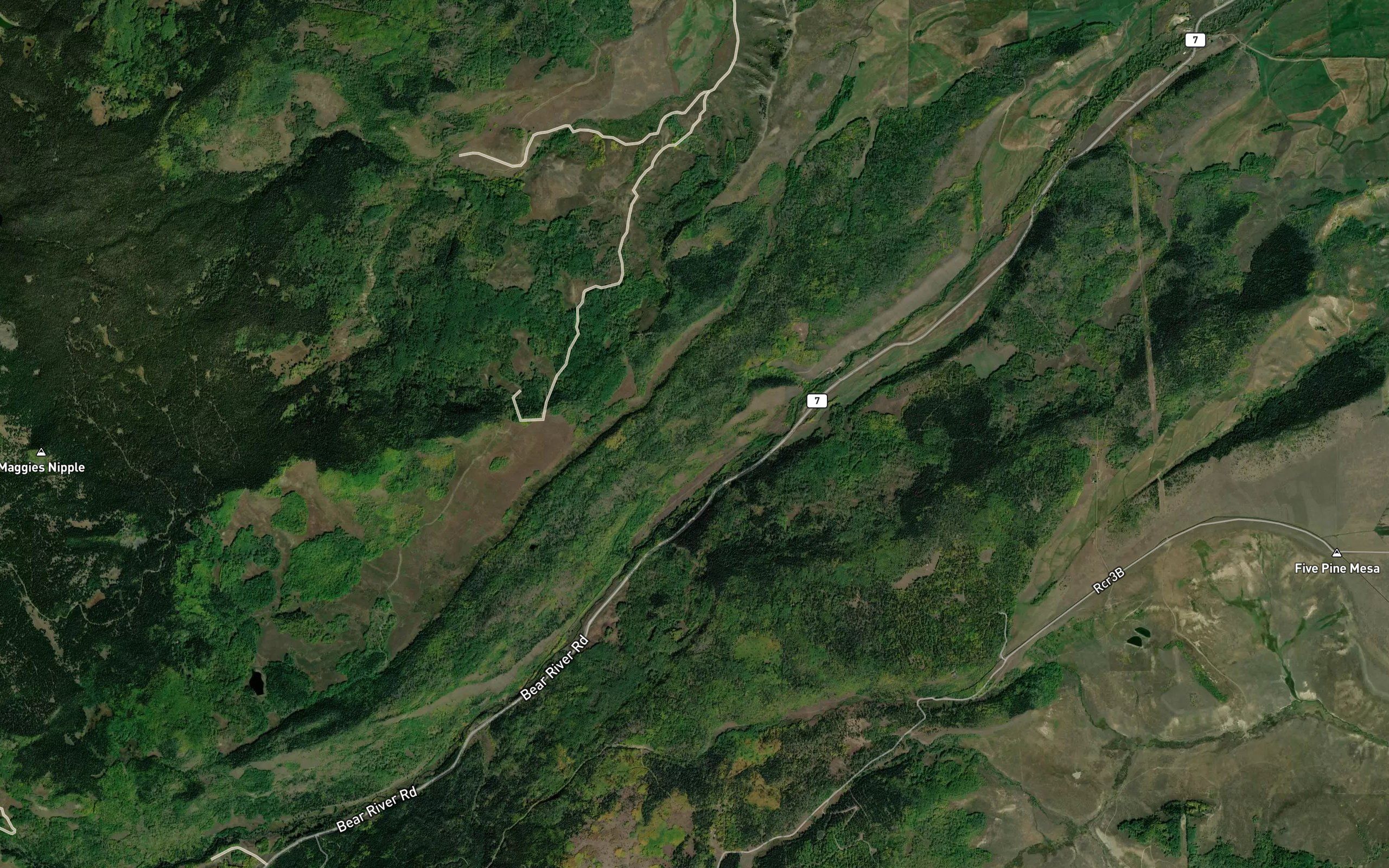 Roaring Fork Ditch