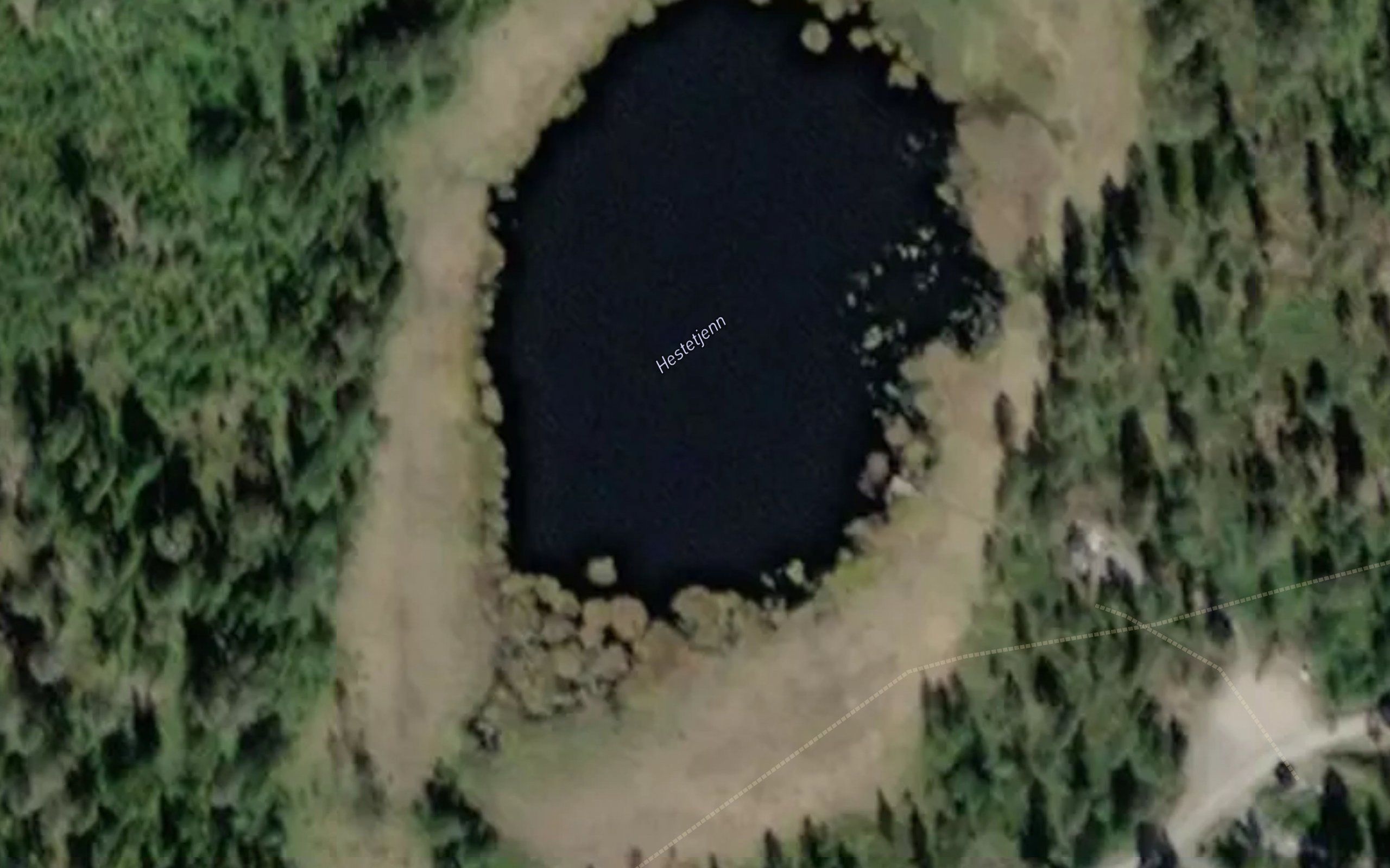 Hestetjern