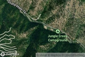 Jungle Creek