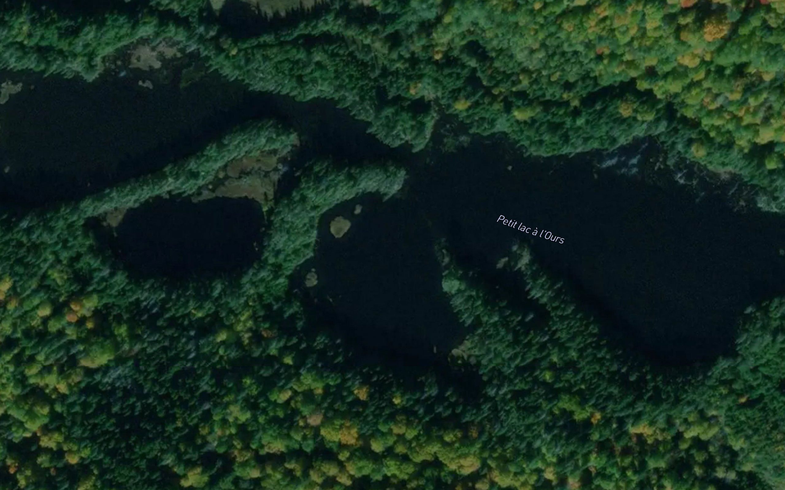 Petit lac a l'Ours