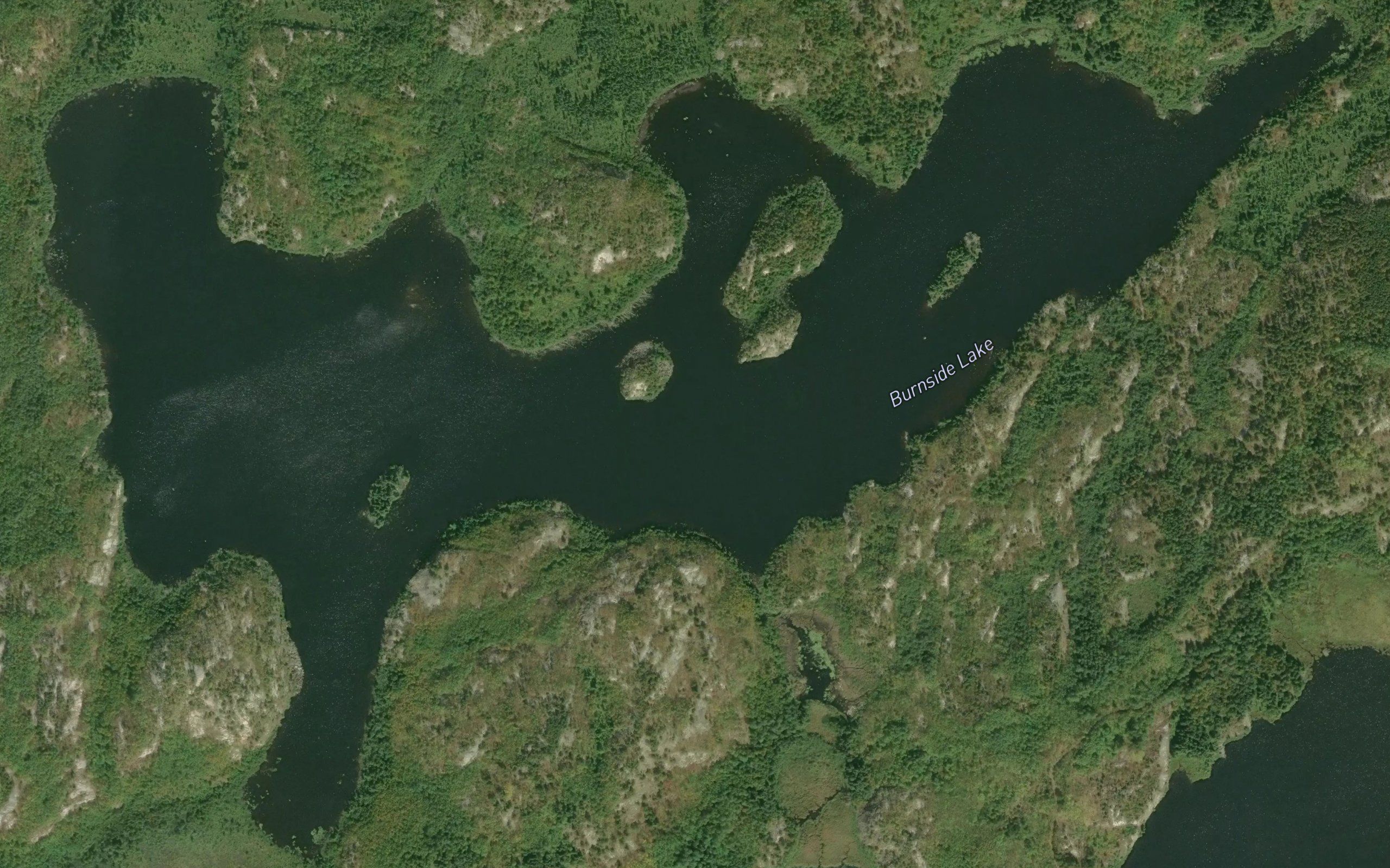 Burnside Lake