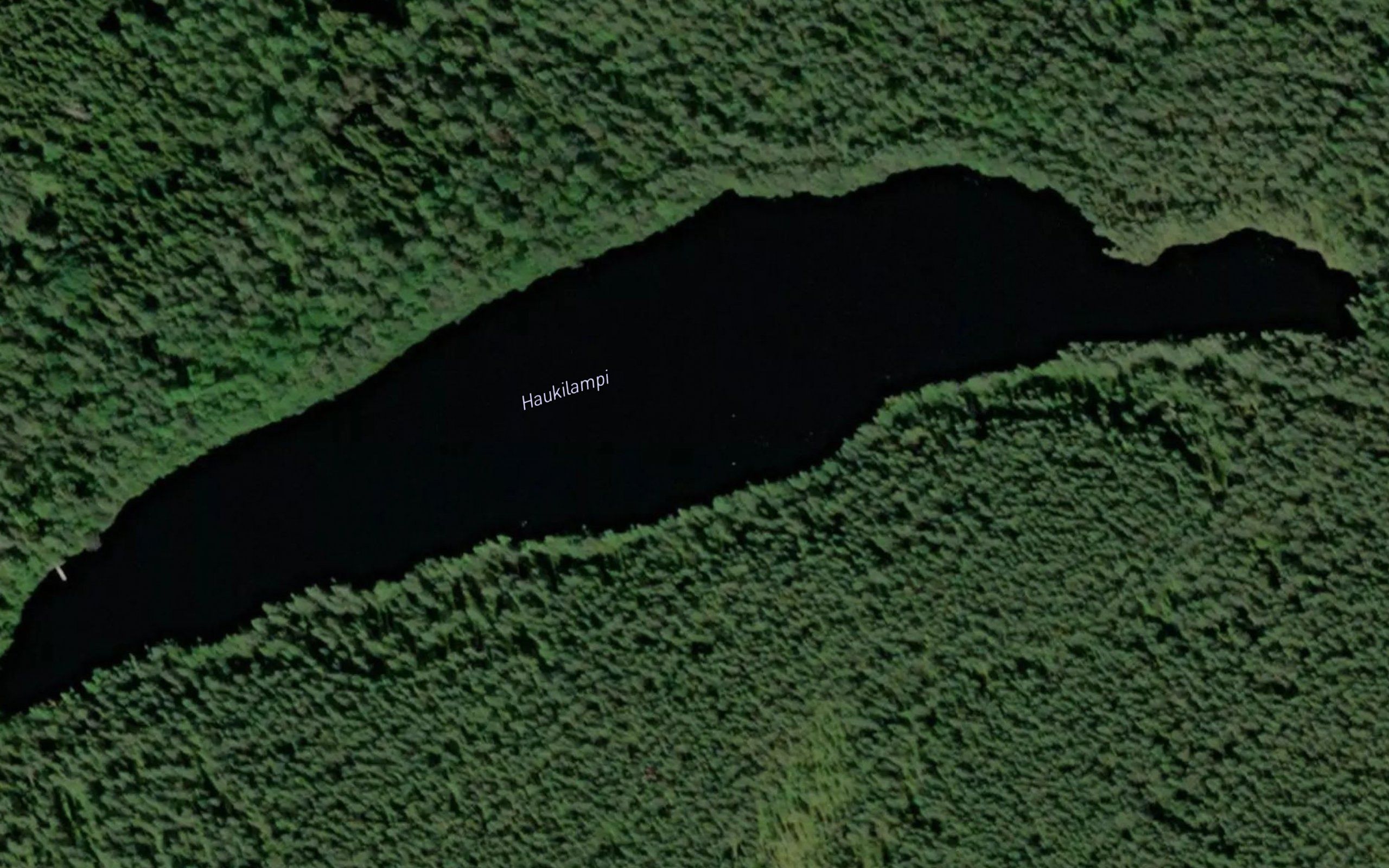 Haukilampi