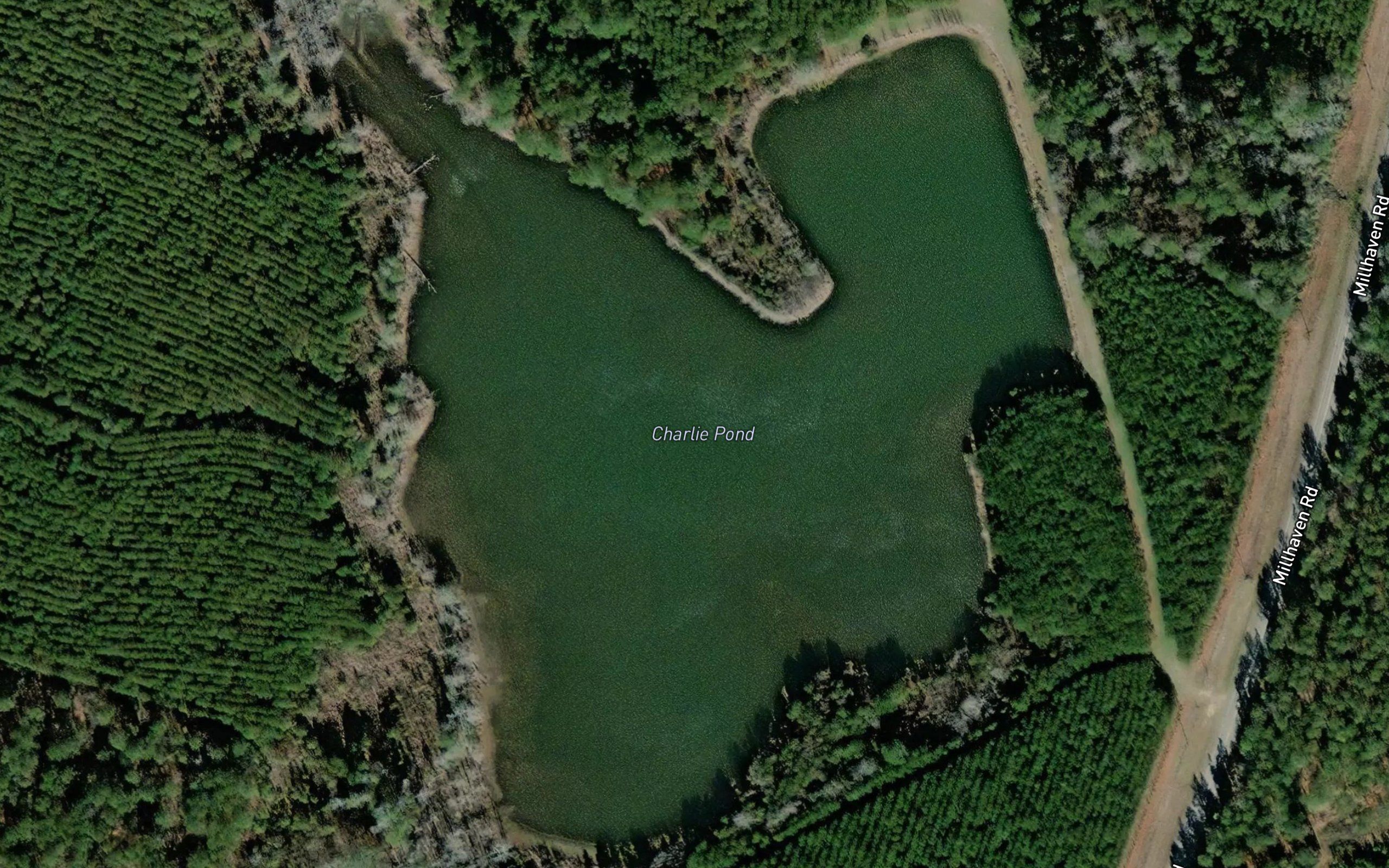Charlie Pond