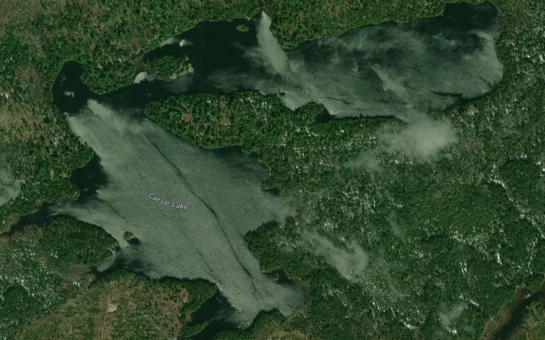 Satellite map of the Caesar Lake
