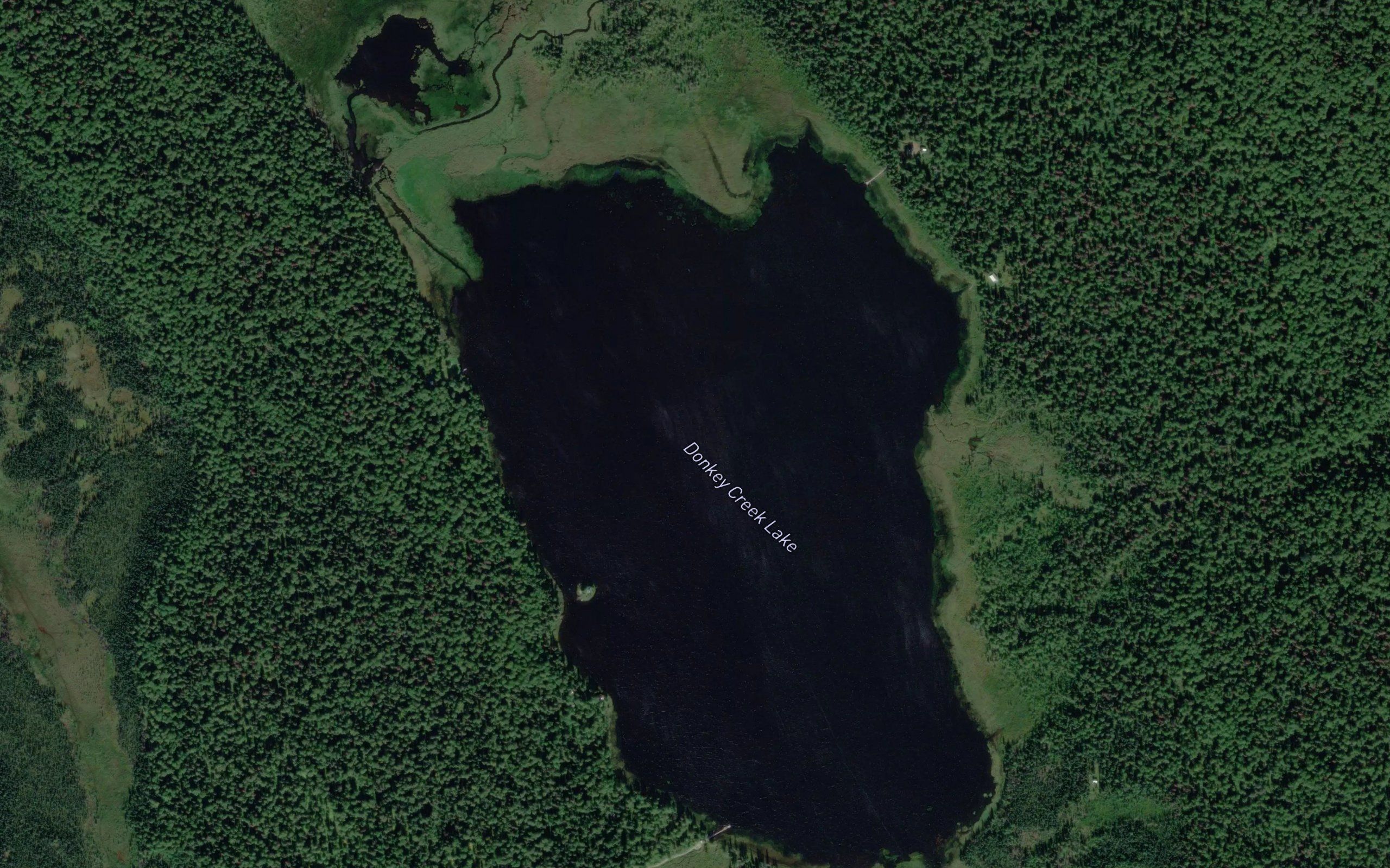 Donkey Creek Lake