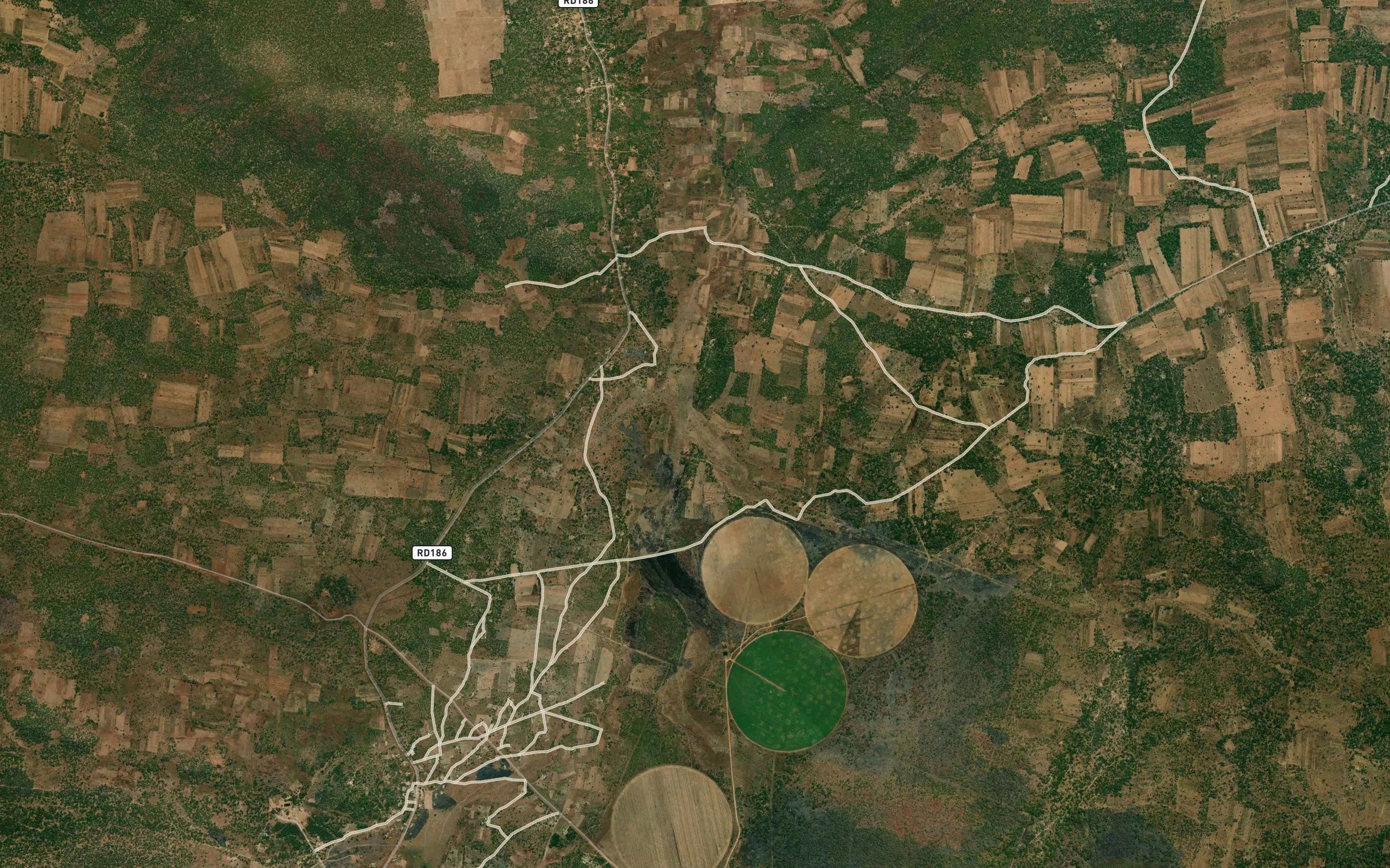 Kamilambo