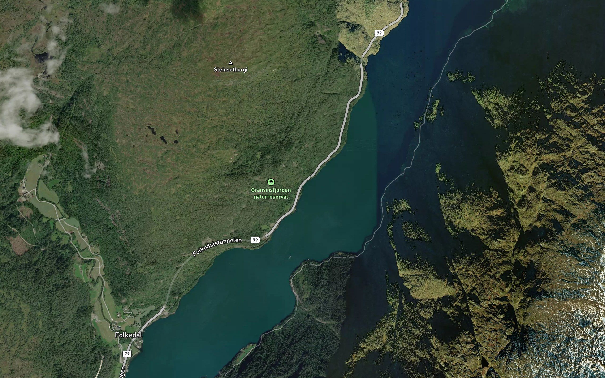 Salbuvik