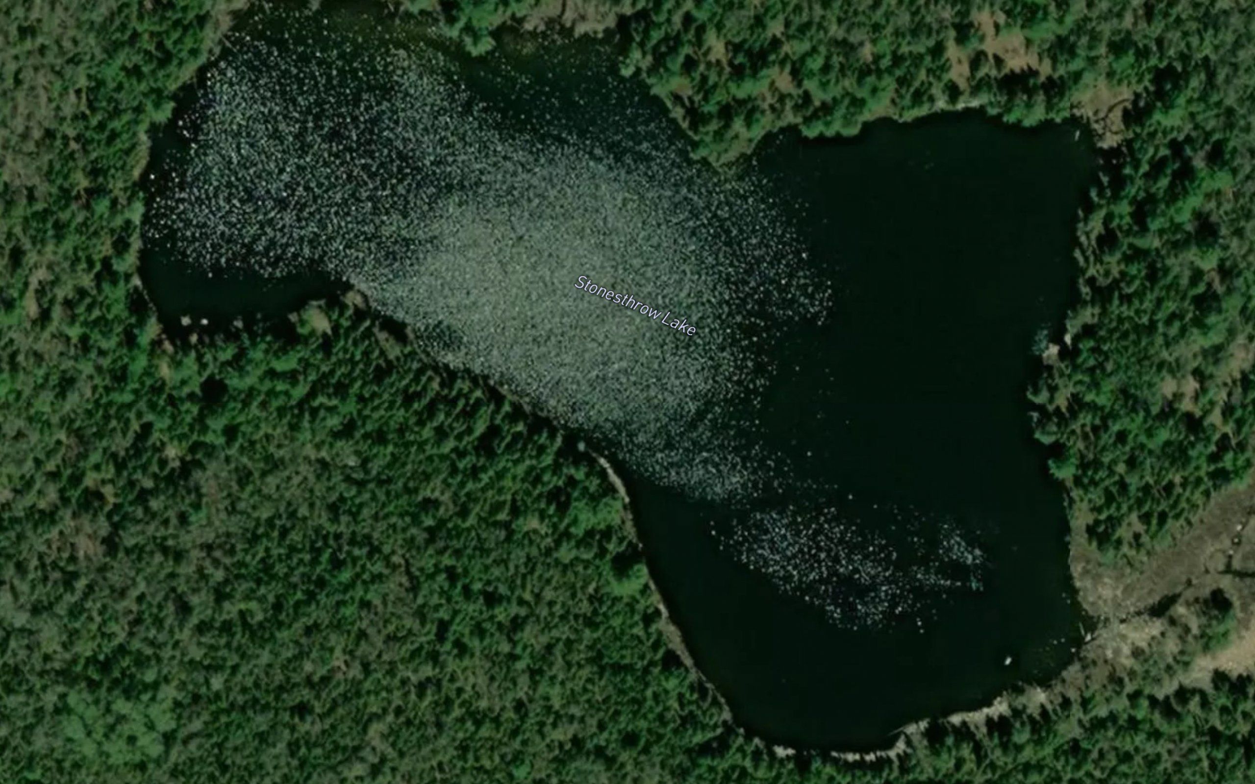 Stonesthrow Lake