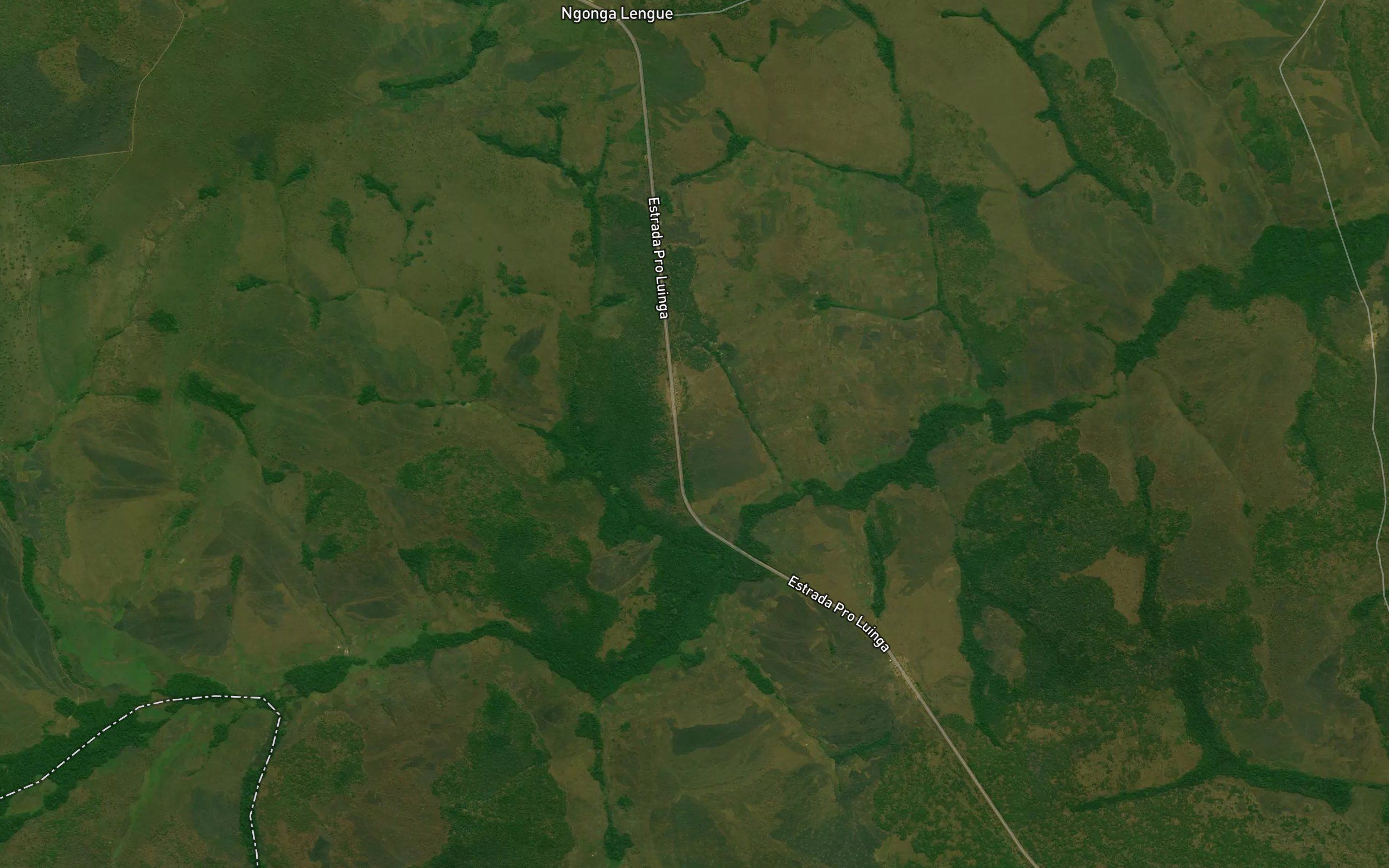 Vunge