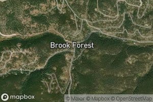 Chicken Creek