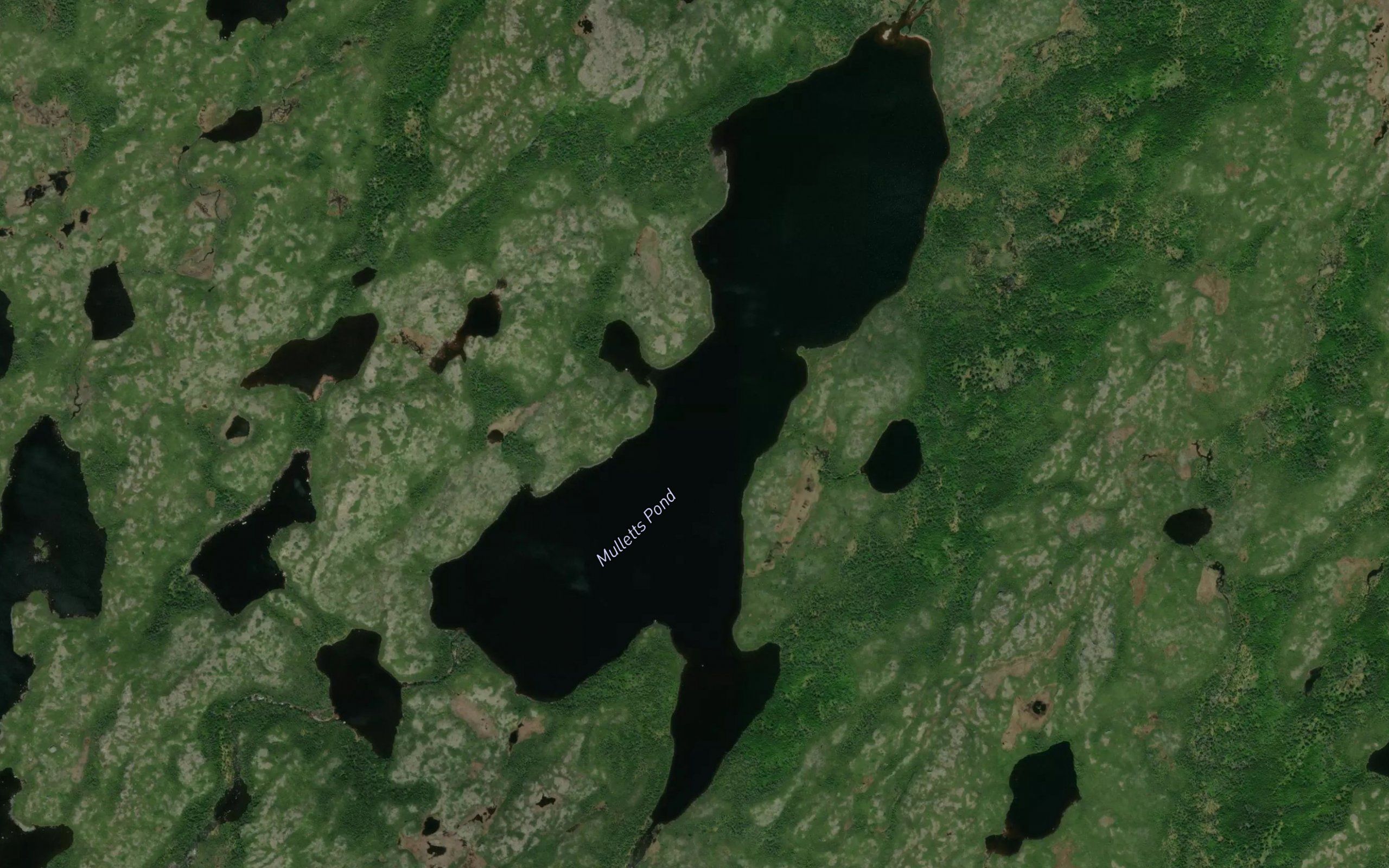 Mulletts Pond