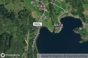 Vikavika