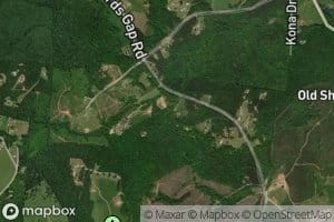 Tim Creek