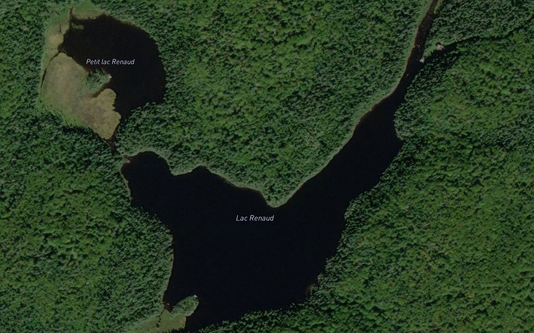 Satellite map of the Lac Renaud