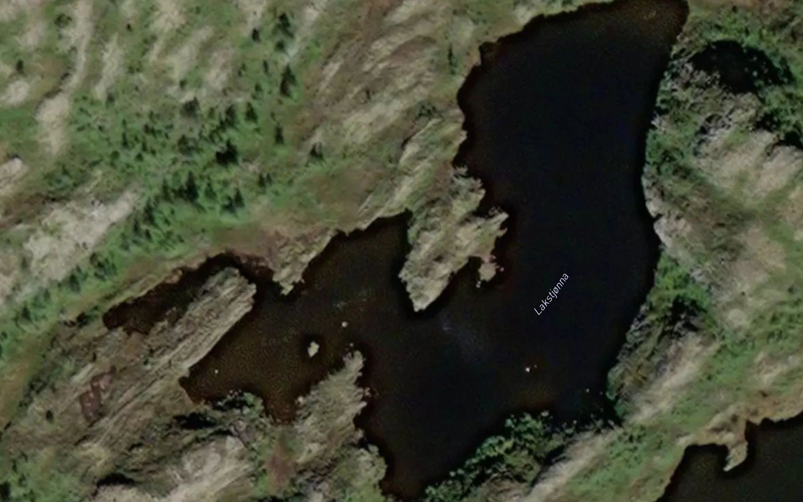 Lakstjorna