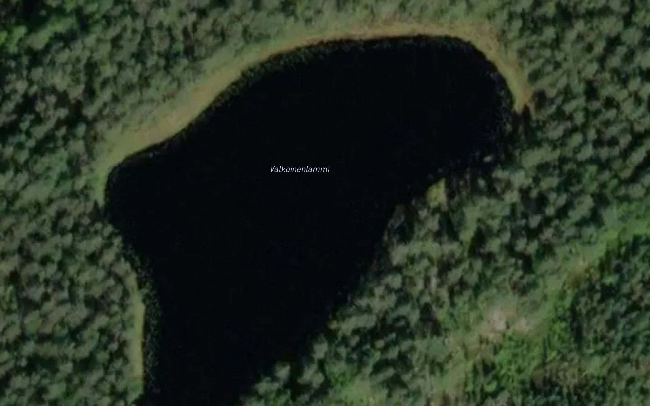 Valkoinenlammi