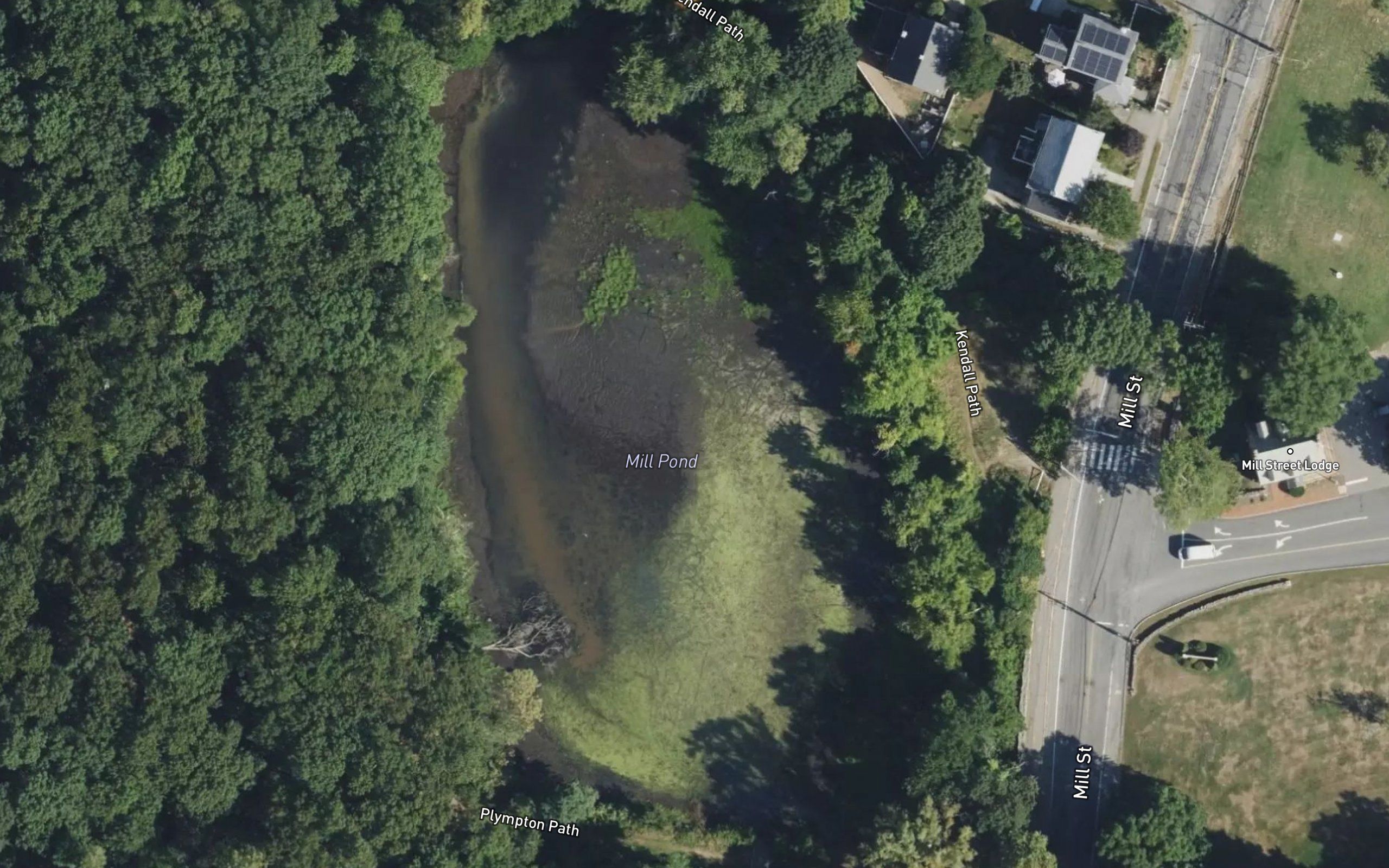 Mill Pond