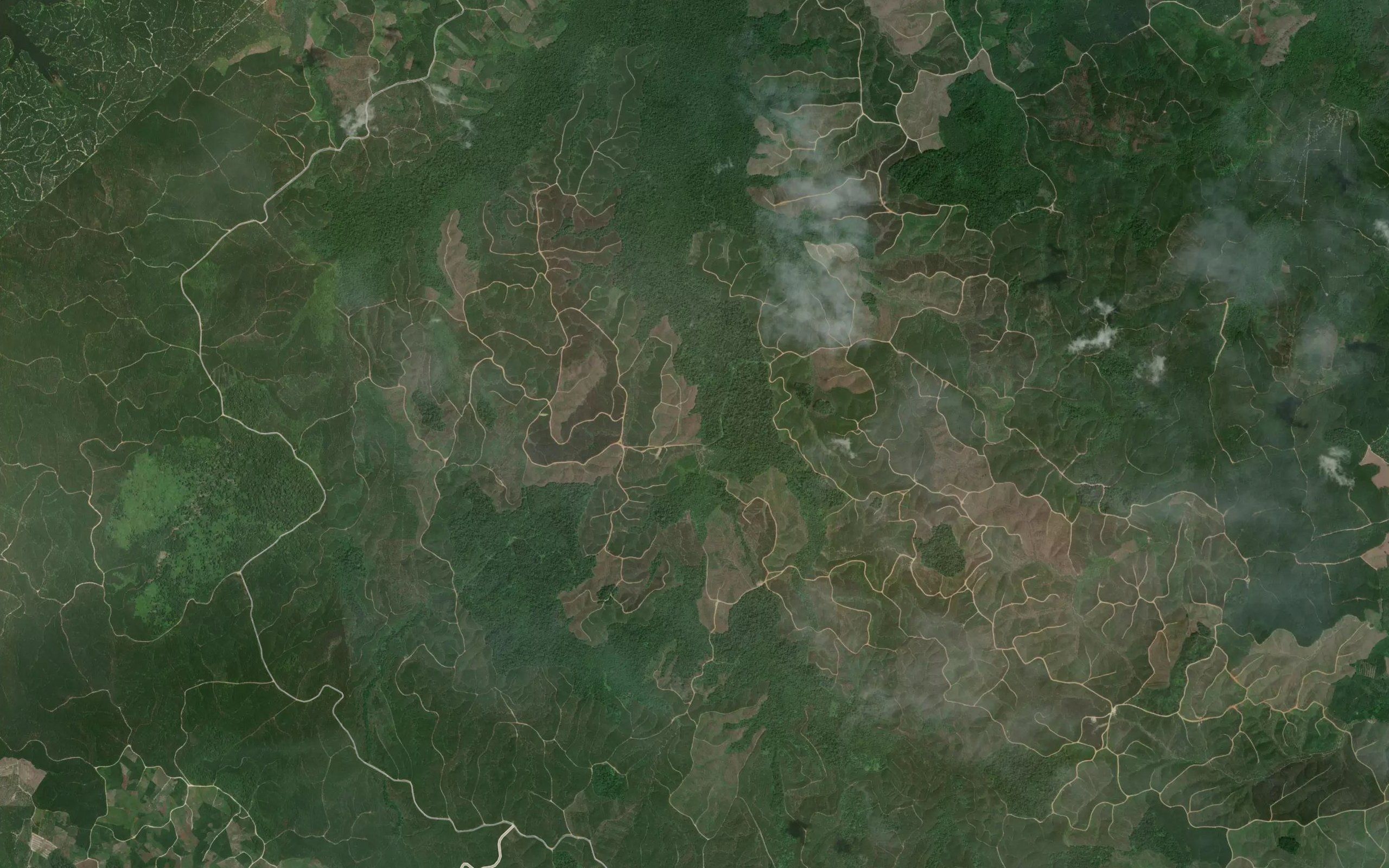 Sungai Empang Segatang